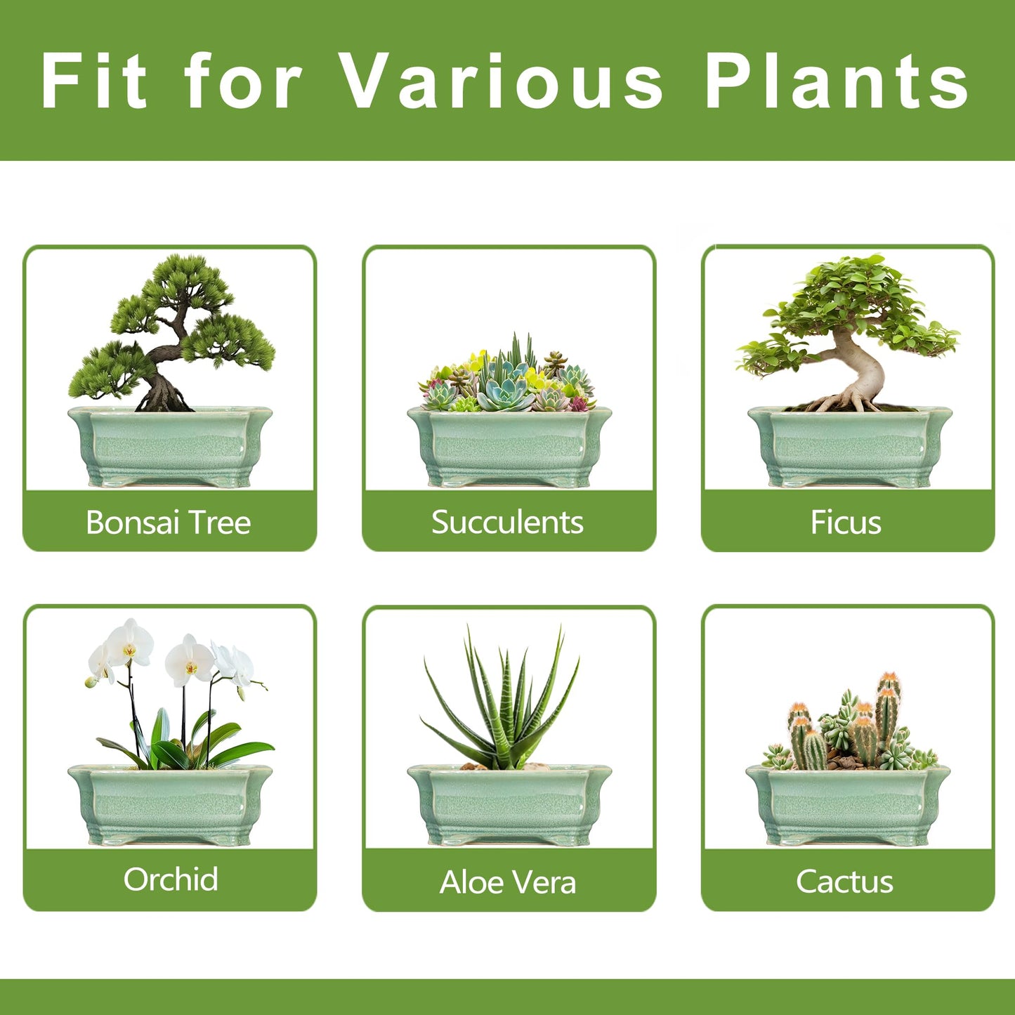 Teagas Bonsai Tree Pot 11.6 Inch - Ceramic Succulent Pots, Bonsai Planter for Indoor Outdoor, Decorative Plant Pot with Drainage Hole, Rectangular Flower Pot, Home Garden Decor, Garden Gifts, Green
