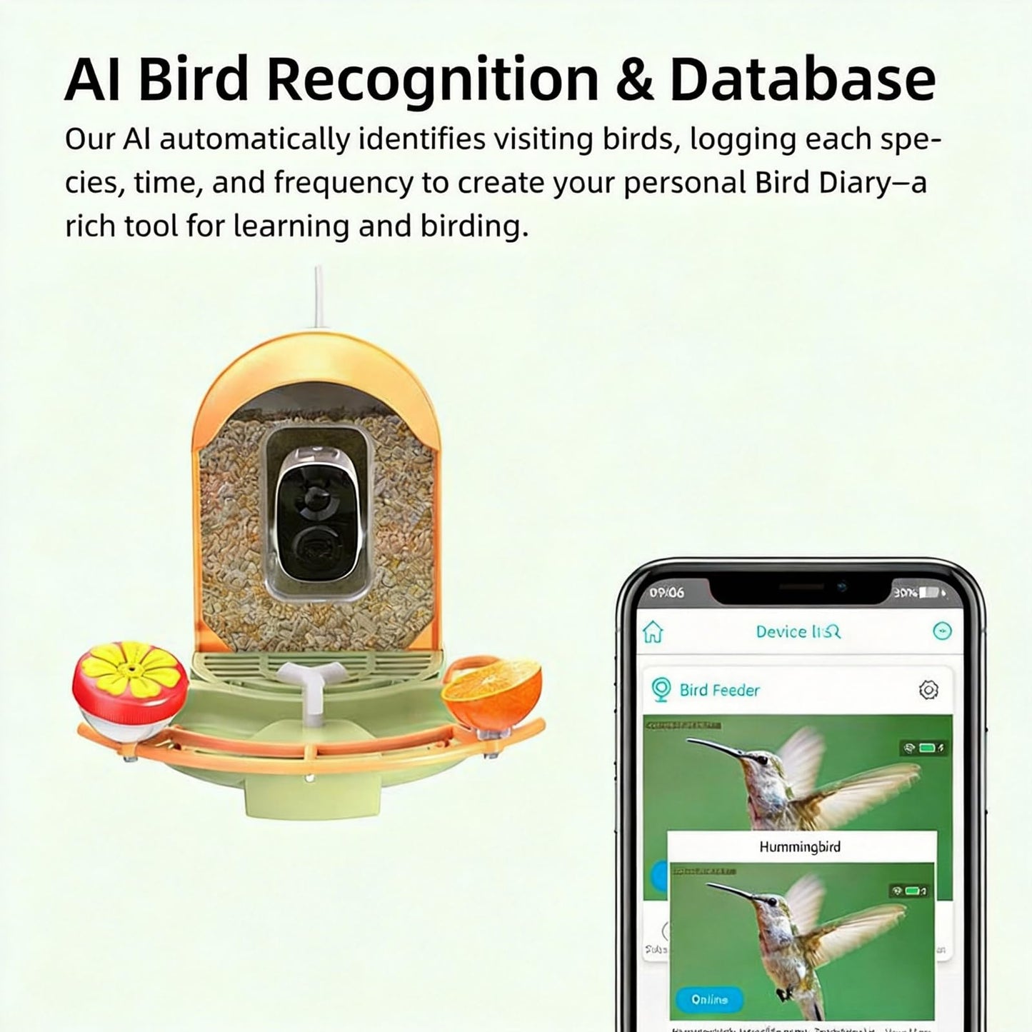 AI-Powered Smart Bird Feeder with Camera & Bird Bath with Solar Powered Circulating Pump, Identifies 10000+ Bird Species, 2K Live Stream & App Alerts, Weatherproof Garden Decor & Bird Watching Gift