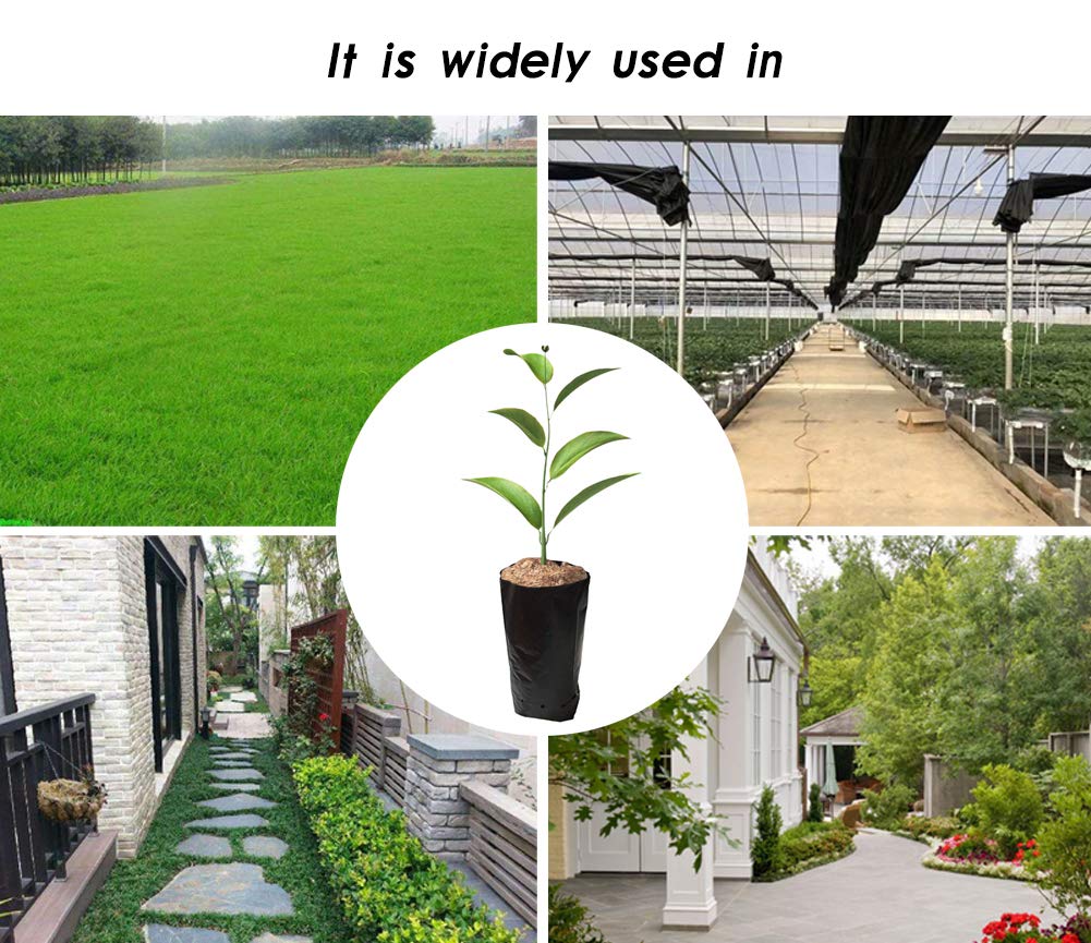 Frjjthchy 100 PCS Thicken Plastic Nursery Bags for Plants Fruit Flower Grow Bags Seedling Pots (6.69x11.81 in)