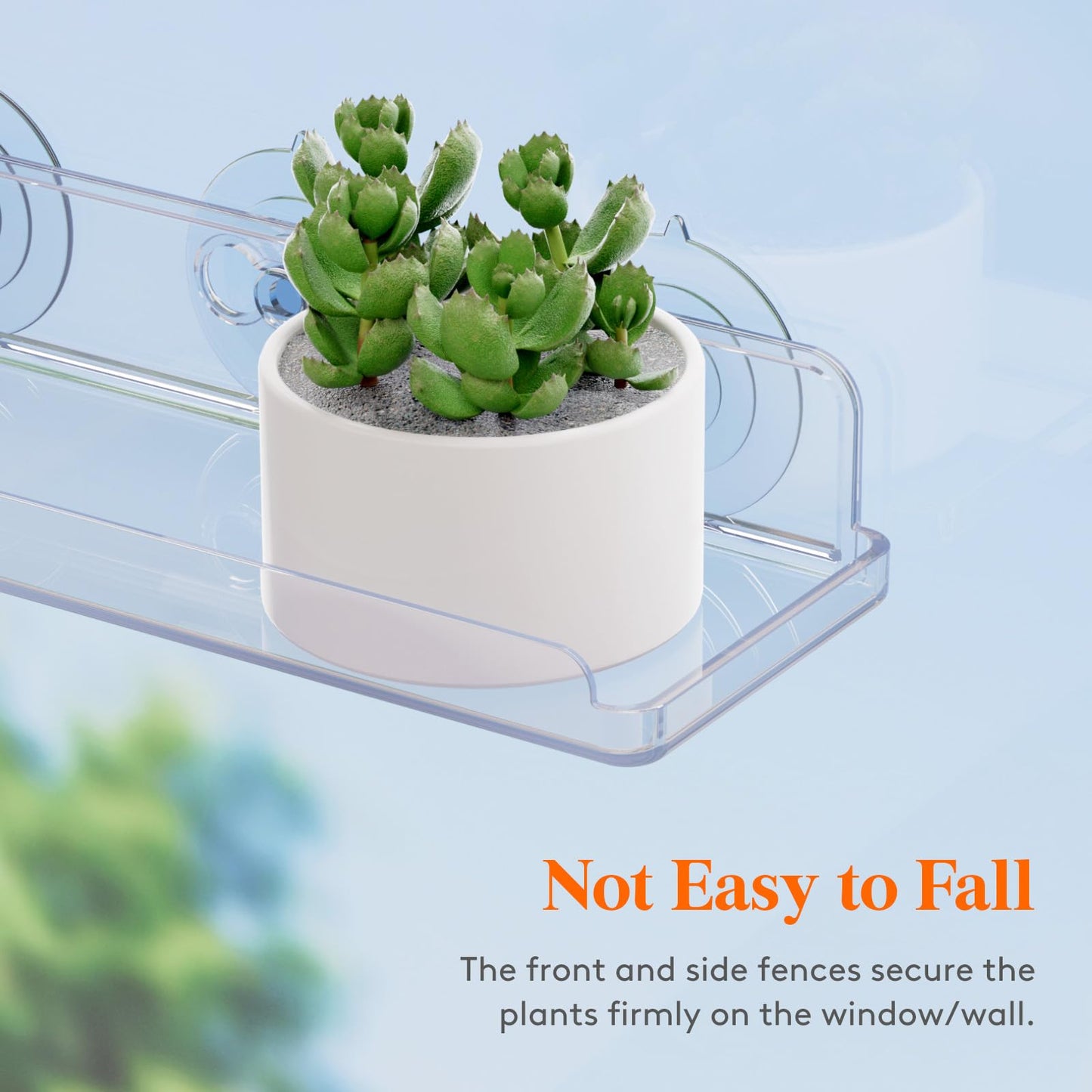 Lifewit Window Plant Floating Shelves 14.6x3.6, 4 Pack Acrylic Suction Cup Shelf, Window Sill Extender for Indoor Succulent Plants, Micro Greens, Seed Starter Pots, Herb Planters 37 x 9 cm/14.6x3.6