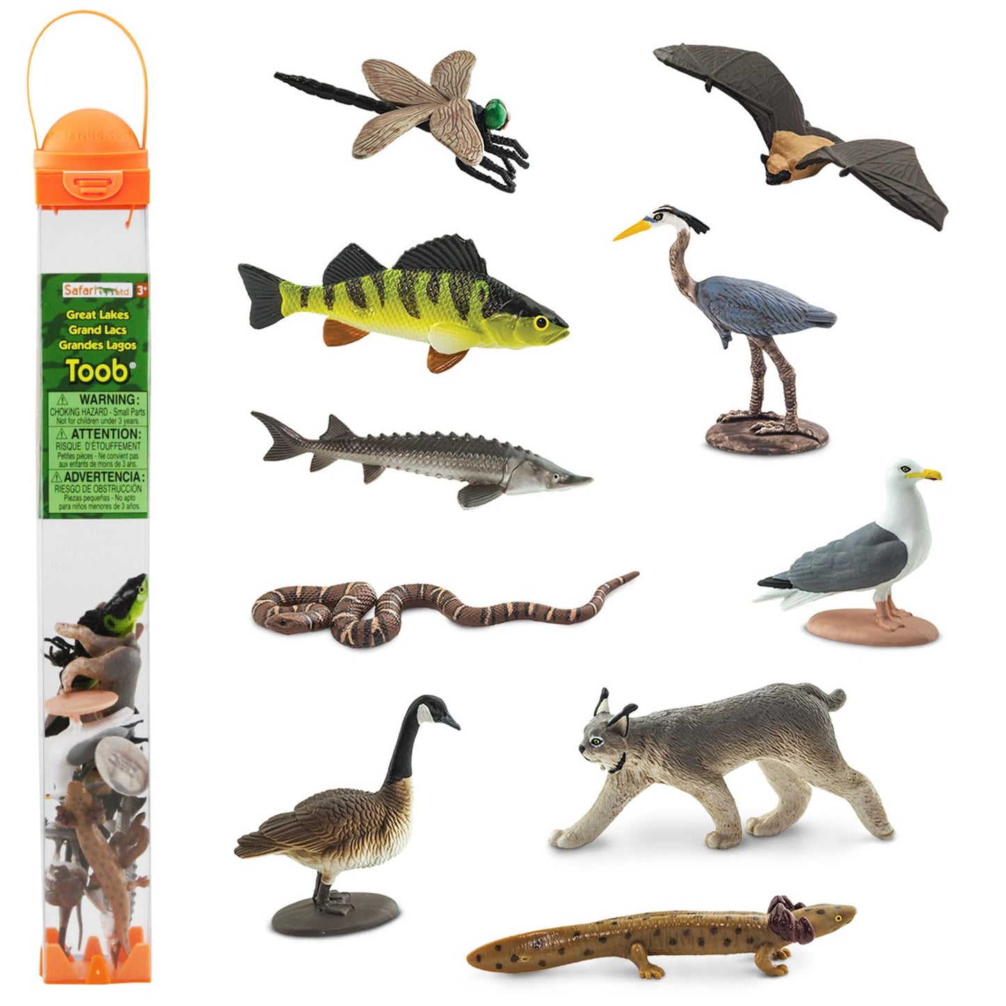 Safari Ltd. Great Lakes TOOB - Figurines of Mudpuppy, Dragonfly, Water Snake, Bat, Goose, Herring Gull, Blue Heron, Lynx, Sturgeon, Yellow Perch - Educational Toys for Boys, Girls & Kids Ages 3+
