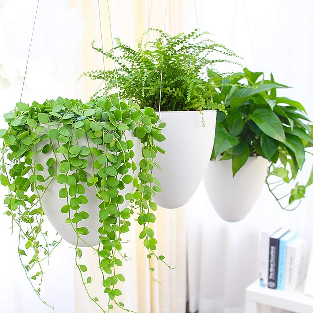 Sungmor 3 Pack Self Watering Hanging Planters, Unique Eggshell Shape Indoor Outdoor Hanging Pots for Plants, Modern White Plastic Flower Pots Home Decor Hanging Basket