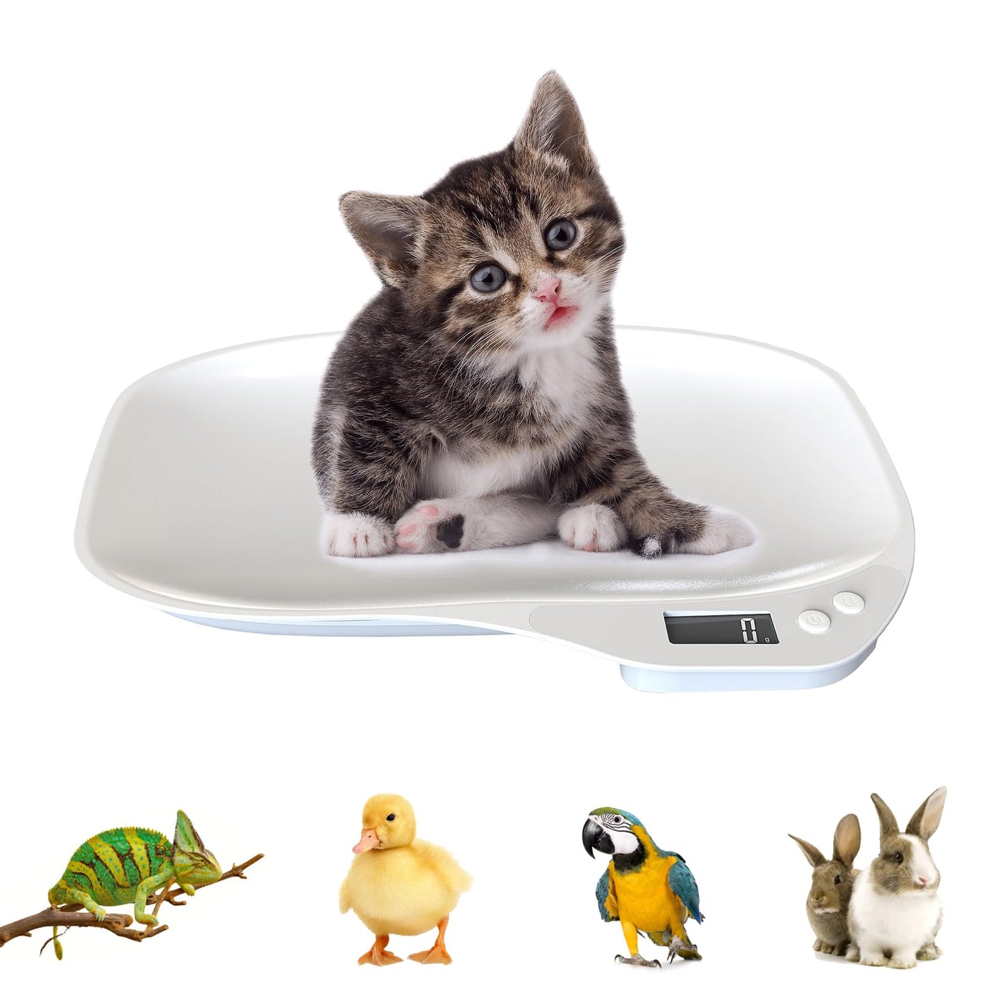 Digital Pet Scale, Portable LCD Electronic Weighing Scale(Max. 33 lbs), Small Animal Weight Scale, Multifunction Kitchen Scale for Food/Lizard/Puppy/Kitten/Hamster/Whelping