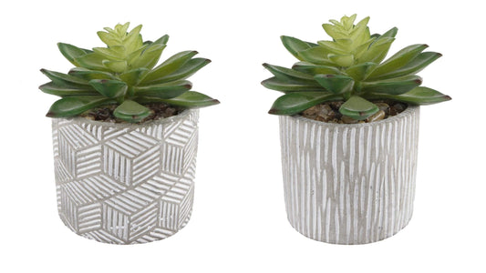 Flora Bunda Mid Century Artificial Plants Cactus Set of 2 Artificial Succulent in 3" Cement Pot Grey Planter, 2 Fake Potted Plants, for Home Office Decorations