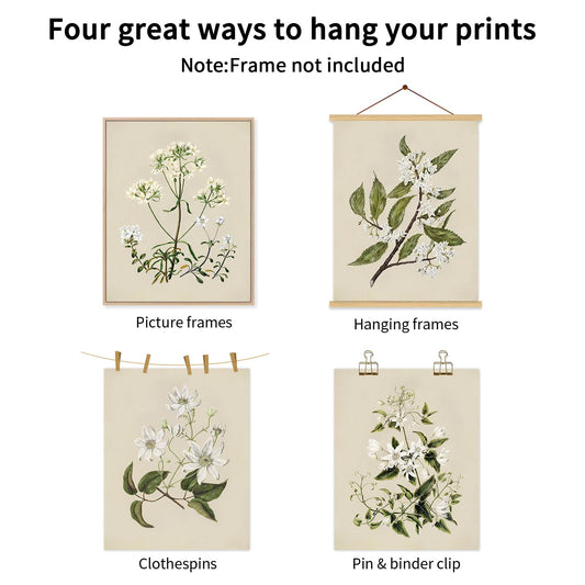 Vintage Botanical Wall Art Set of 6 Neutral Floral Canvas Wall Decor Wildflower Wall Art Watercolor Flower Prints Botanical Poster Minimalist Plant Pictures for Bedroom Living Room 8x10 Inch Unframed