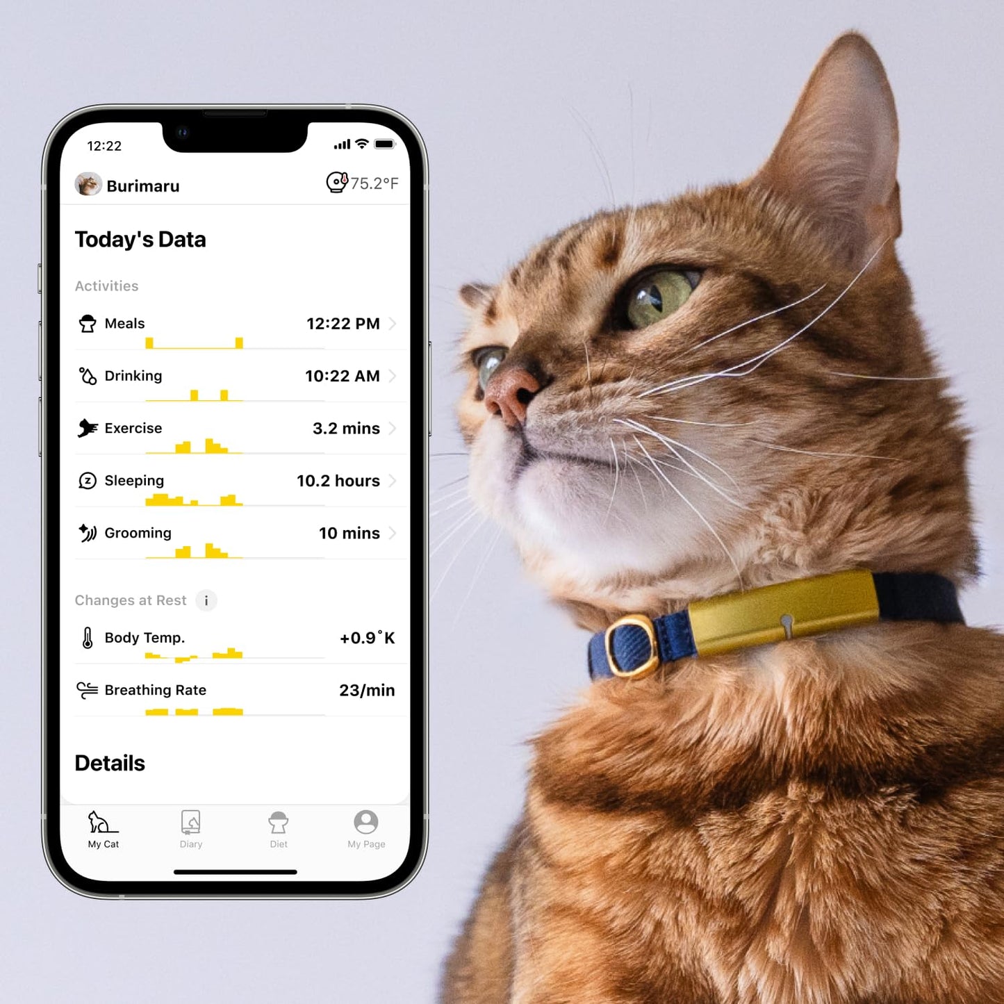 Catlog Health Tracker for Cats - Smart Cat Collar with Safety Breakaway Buckle for Indoor Cats, Wellness Alerts, Real-time Monitoring (Yellow, M)