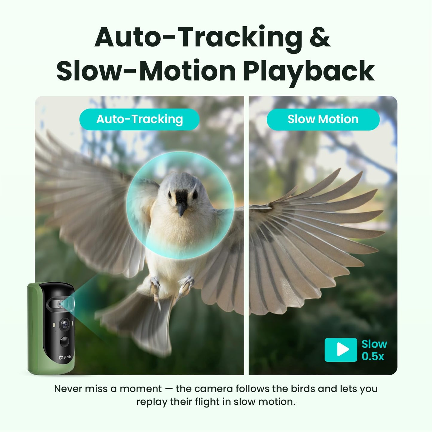 Birdfy 2 Smart Bird Feeder with Camera, AI Identifies Bird Species, Dual-Lens 2K Camera for Live Streaming & Close-Up Photos, Solar-Powered Backyard Birdwatching Gift