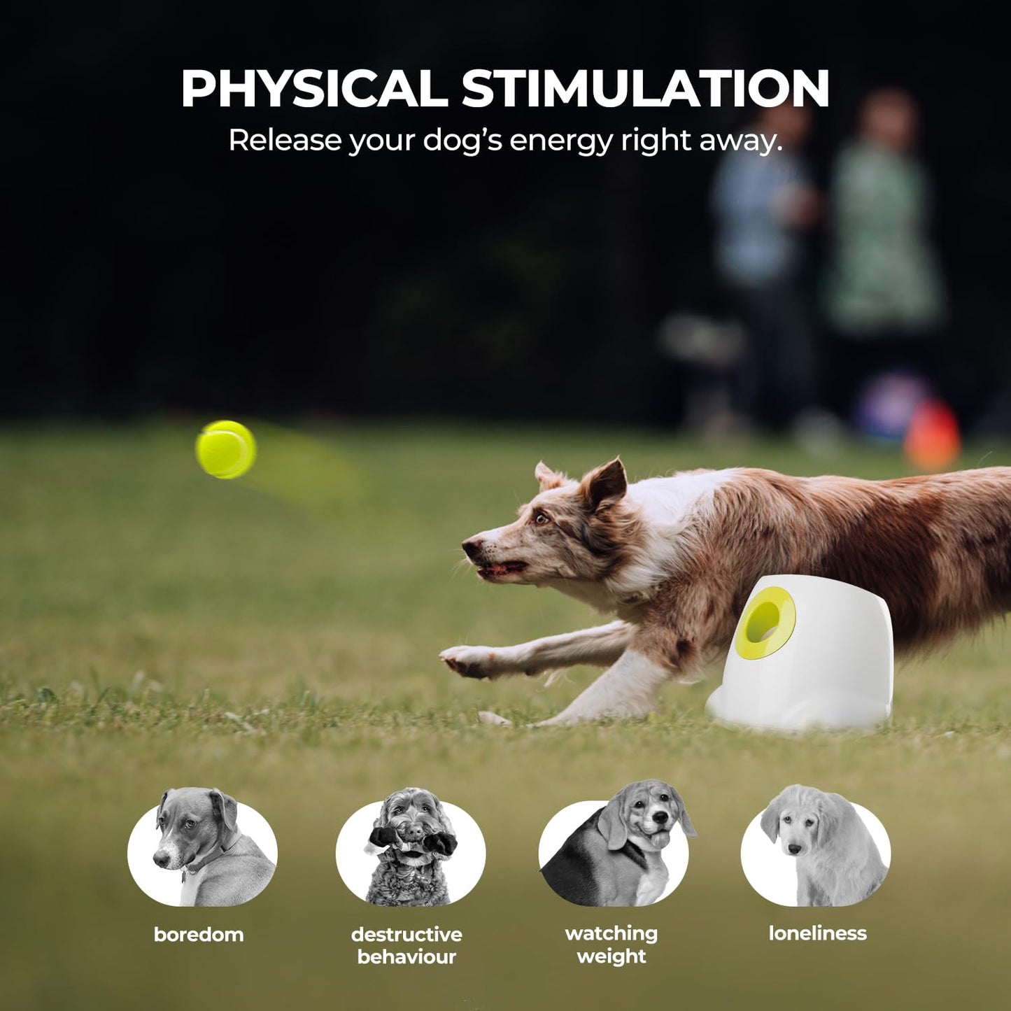 ALL FOR PAWS Automatic Ball Launcher for Dogs Interactive Puppy Pet Ball Outdoor Thrower Fetch Machine, 6 Balls Included (2.5 inch) + Six Tennis Balls Bundle