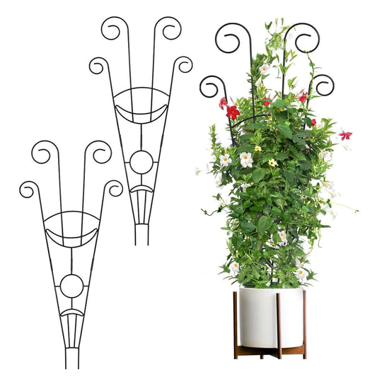 belupai 2pcs Indoor Plant Trellis, 30in Tall Climbing Plants Trellis Black Metal Garden Potted Plants Trellis, Plants Grow Frame Support Racks Vine Ivy Flower Support for Indoor