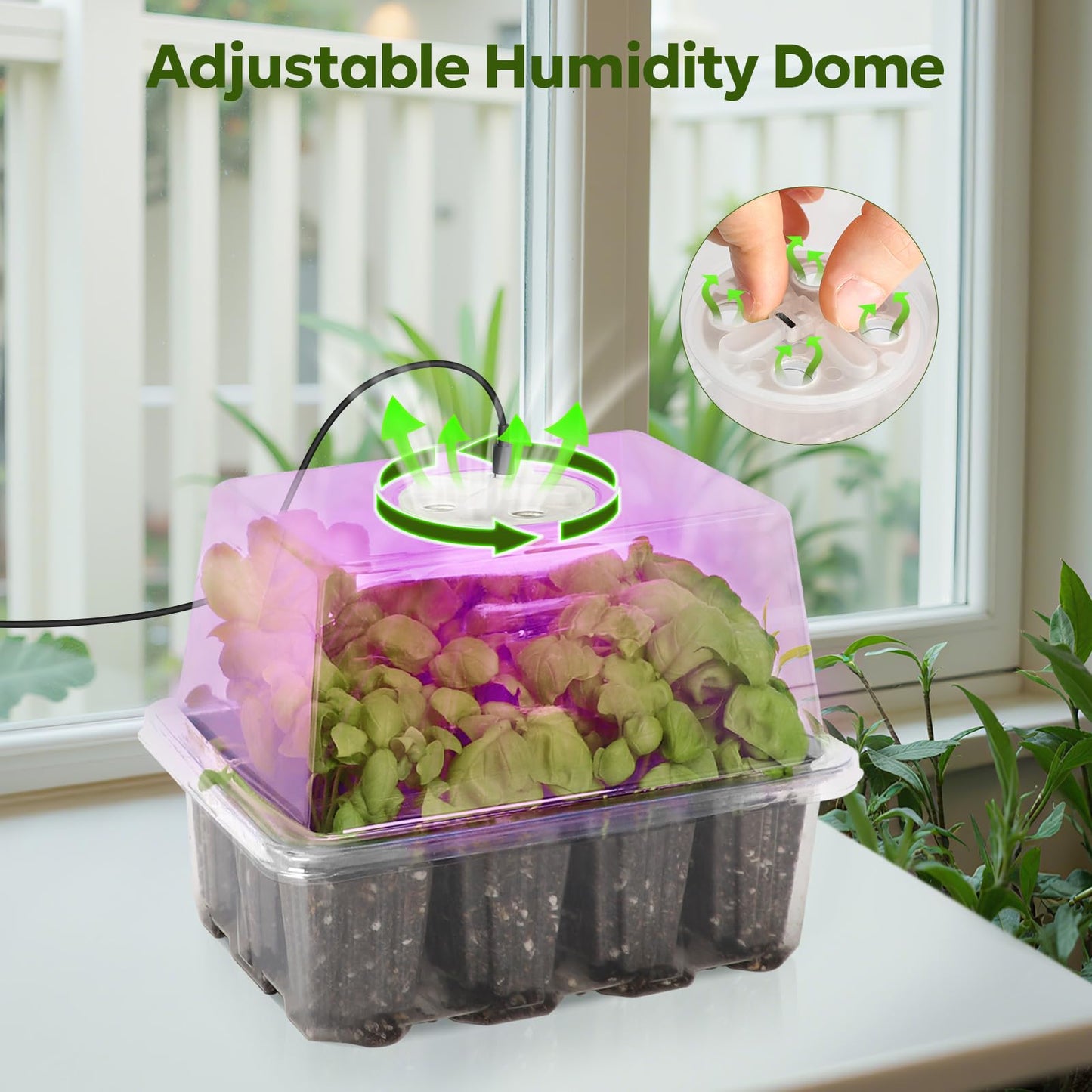 MIXC Seed Starter Kit with Grow Light, Elevated Seedling Tray Kit with Adjustable Humidity Dome and Clear Cell Tray, 12 Full Spectrum Led Beads for Seed Starting Greenhouse, 4 Pack, Transparent