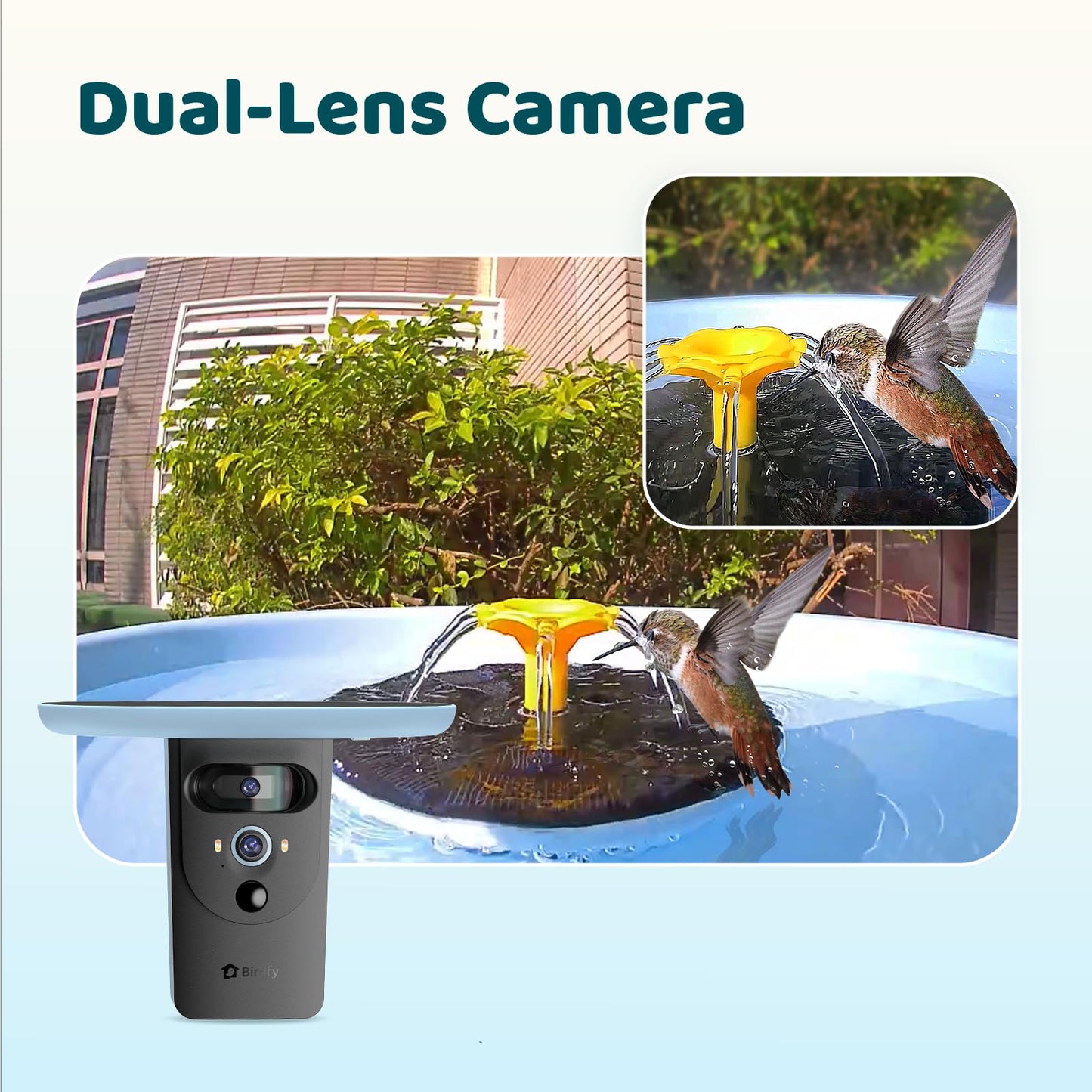 Birdfy Smart Bird Bath with Camera Solar Powered & Fountain, Dual-Lens Camera for Wildbird Watching, Auto Capture Bird Videos & Motion Detection - AI by Subscription (Blue)