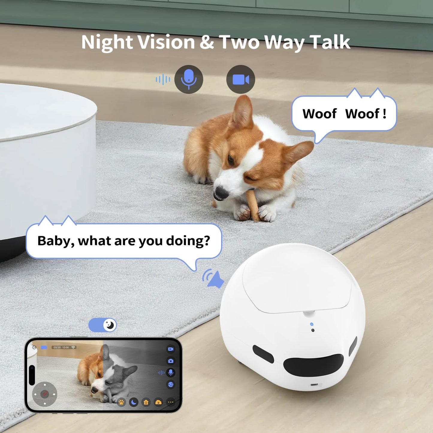 pumpkii Cat Camera with Interactive Pointer Toy, Moving Robot for Dog and Cat, Mobile Pet Camera Treat Dispenser with Phone App, Auto Recharging and Night Vision, Two-Way Audio (2.4G Wi-Fi Only)