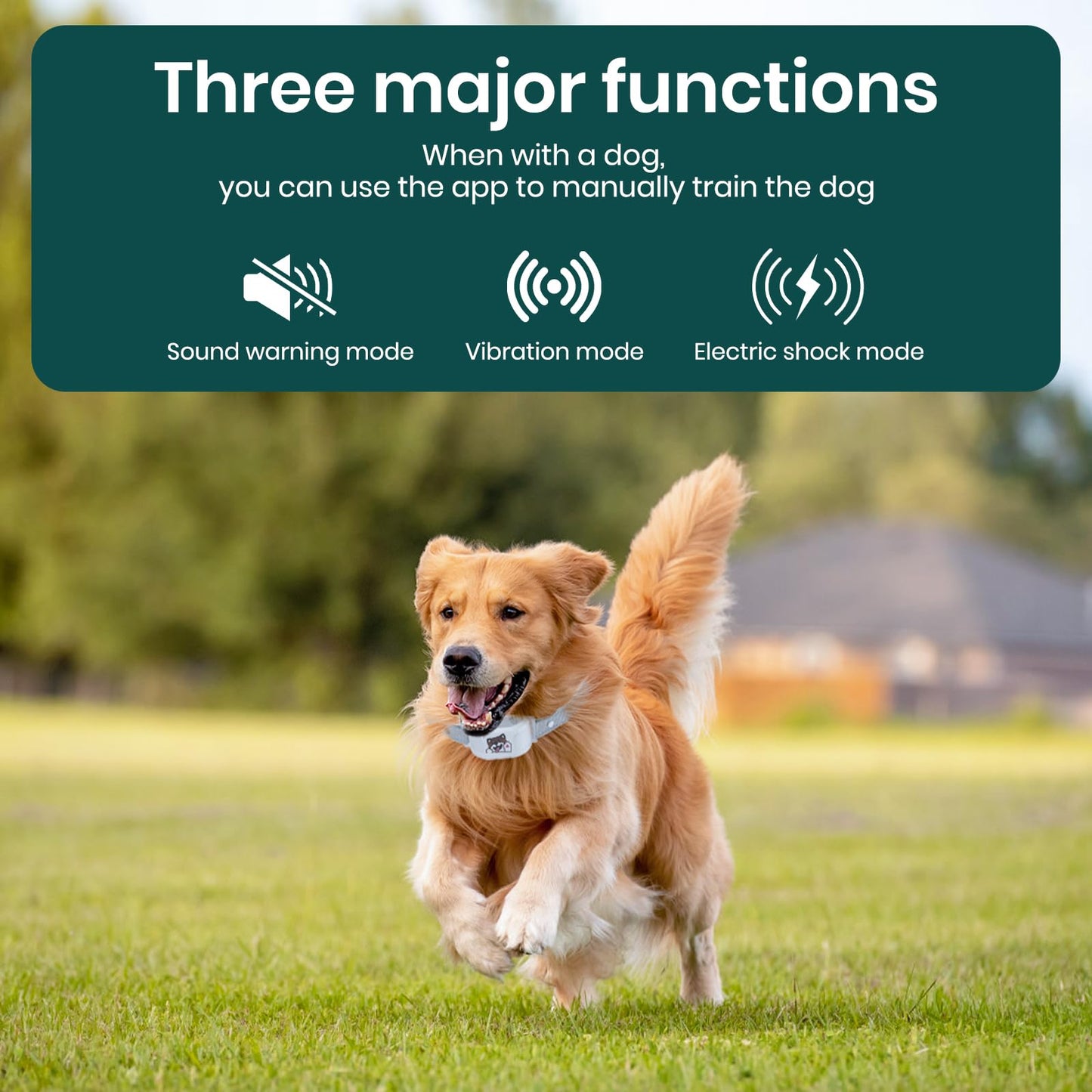 Upgraded GPS Dog Fence & Tracking Collar System - No Subscription Required, Customizable Boundaries via App, Waterproof Rechargeable Collar with Remote Training, 1-Minute Setup, Long Battery Life
