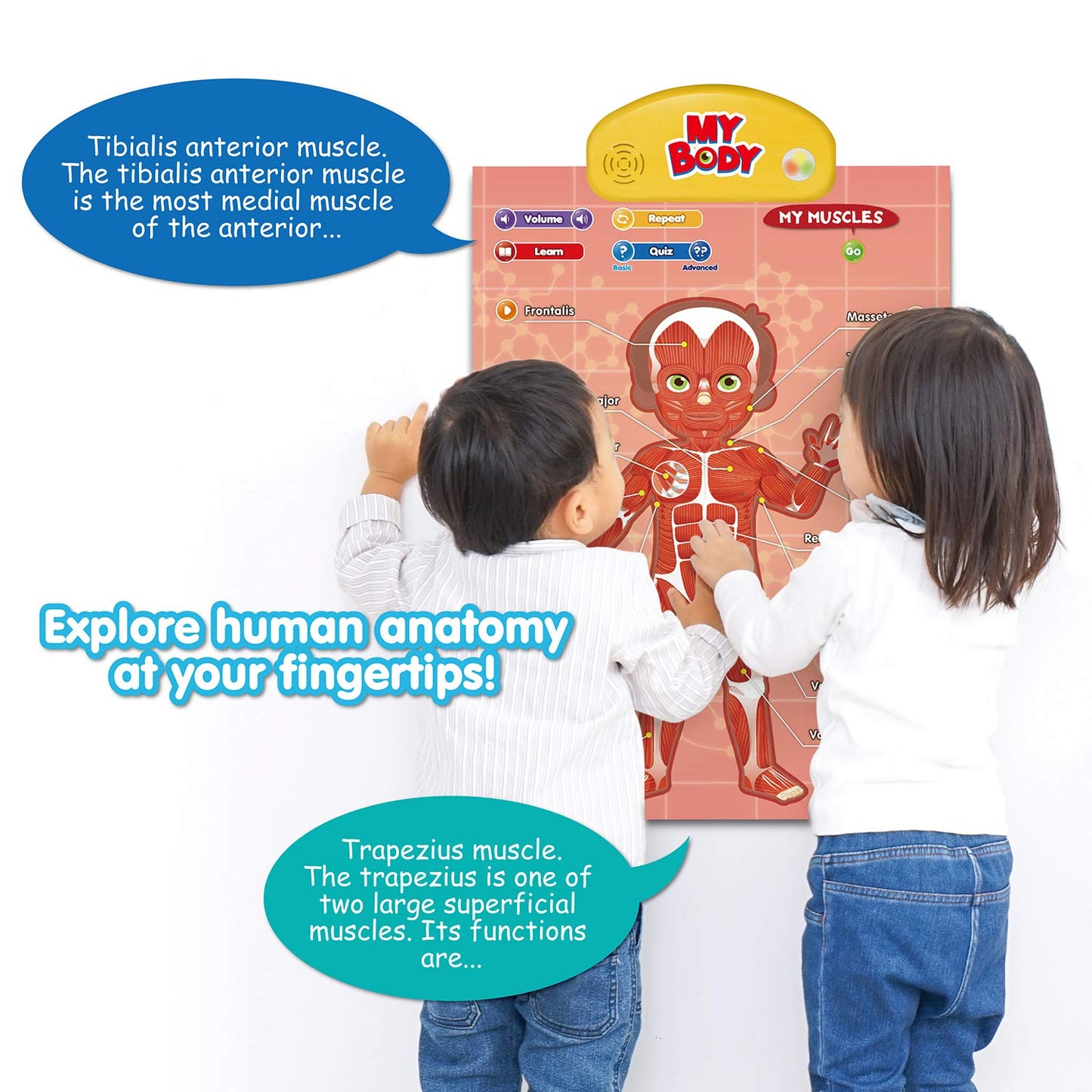 BEST LEARNING i-Poster My Body – Interactive Educational Human Anatomy Talking Toy for Kids Ages 5-12 to Learn Body Parts, Organs, Muscles and Bones Through Fun Sound and Quiz Modes