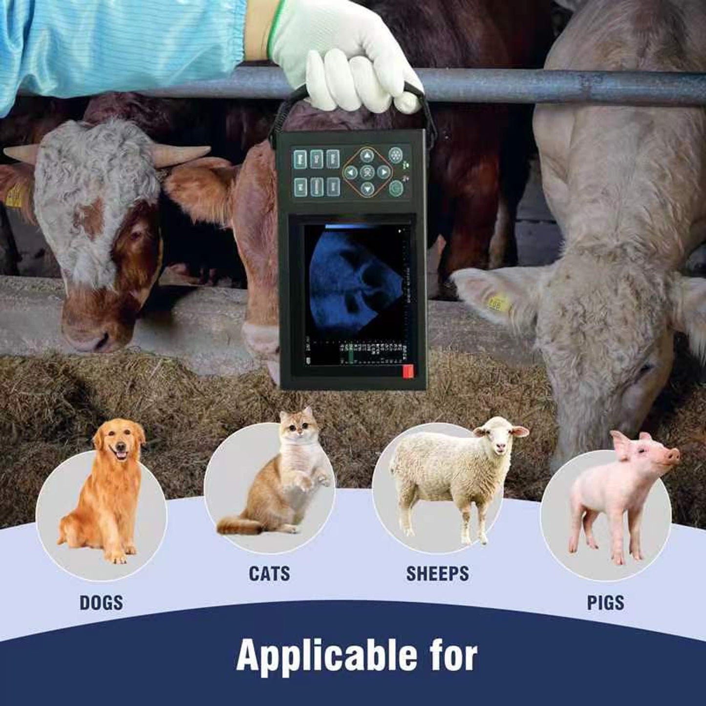 Veterinary Ultrasound Machine Ruisheng M10, Aluminum Alloy Designed with 3.5 MHz Probe for Dog Kennels, Pig Farm and Sheep Farm Pregnancy Check, Rechargeable+ Carrying case, Friendly to Beginners
