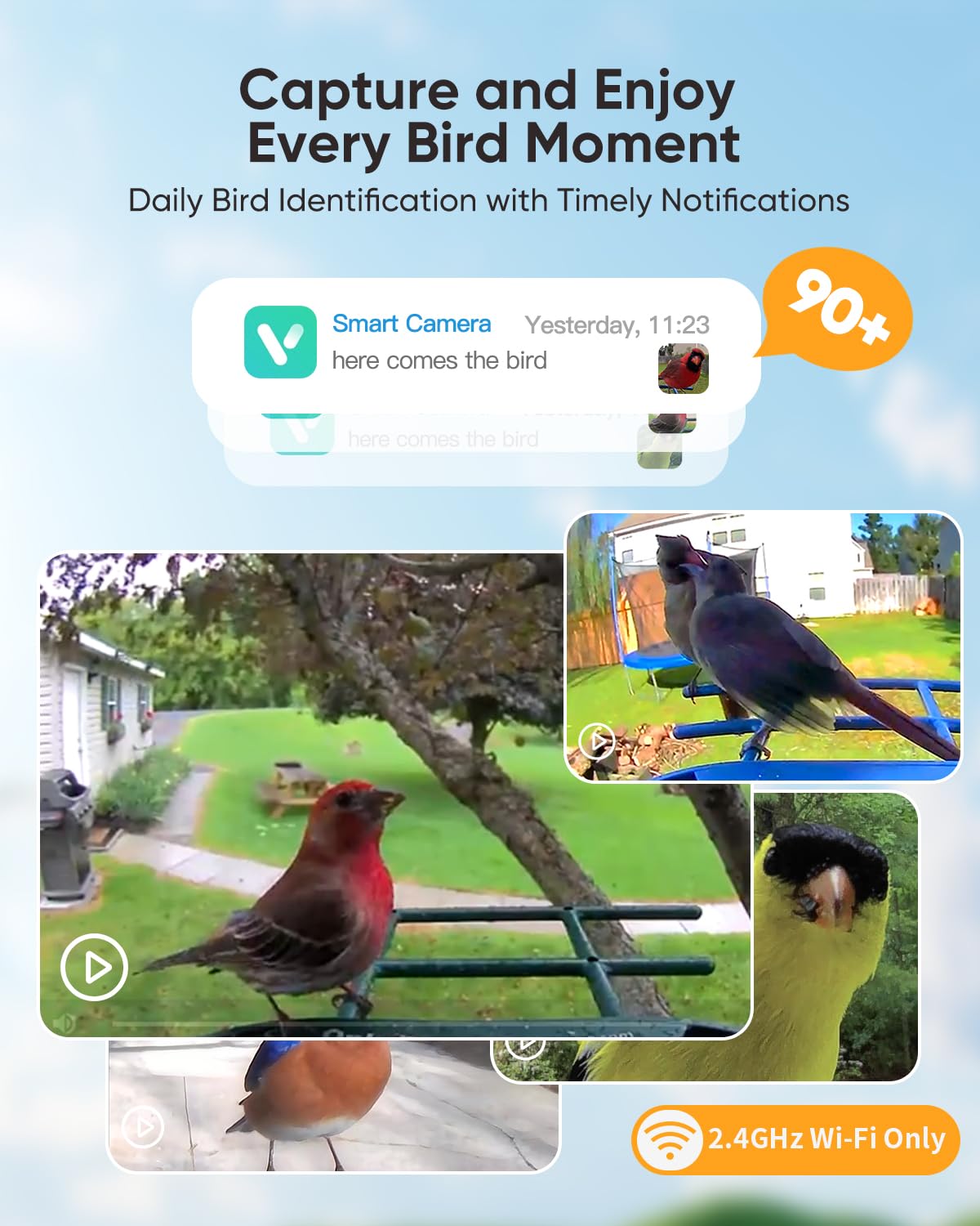 Bird Feeder with Camera Solar Powered : Smart Camera Bird Feeder 2K Live Feed Cam for Outdoor Backyard - Ai Identify Auto Capture Videos Pictures, Gifts for Birdlover Mom Dad, 2.5GHz WiFi