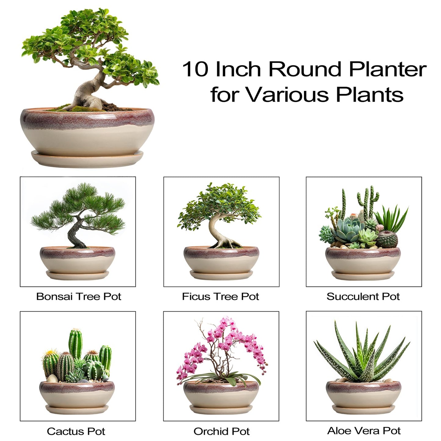 SQOWL Bonsai Tree Pots - 10 Inch Ceramic Succulent Pots, Round Shallow Planter with Drainage Hole and Tray, Bowl Planter for Indoor Outdoor Plants Flowers, Room Decor, Garden Gifts, Beige