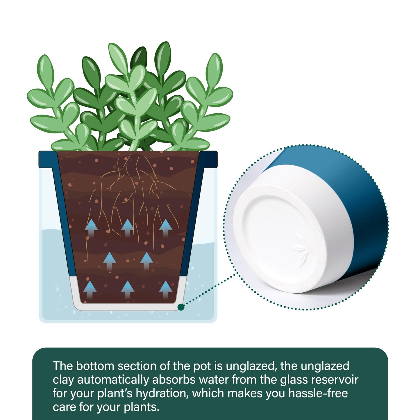 D'vine Dev 4 Inch Design Self Watering Planter for Indoor Plants, Blue Terracotta Pot with Cylinder Glass Cup, Set of 4, 37-Z-A-4-F