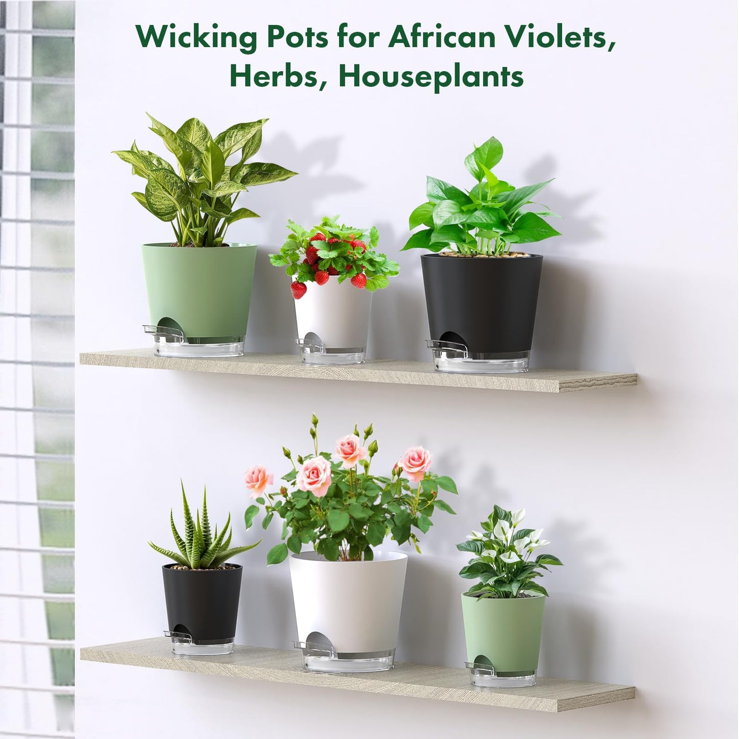 Meowell Self Watering Pots Pack of 6 – Different Size 4" to 7" Indoor Plant Pots with Drainage Holes and Clear Reservoir for Visible Water Level, Plastic Wicking Planters for House Plants, Green