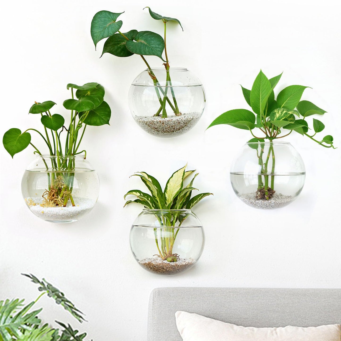 DomeStar 4PCS Wall Vases, Wall Mounted Hanging Glass Vases Clear Planter Terrarium Station for Hydroponics Plants Propagation Home Office Living Room Decor