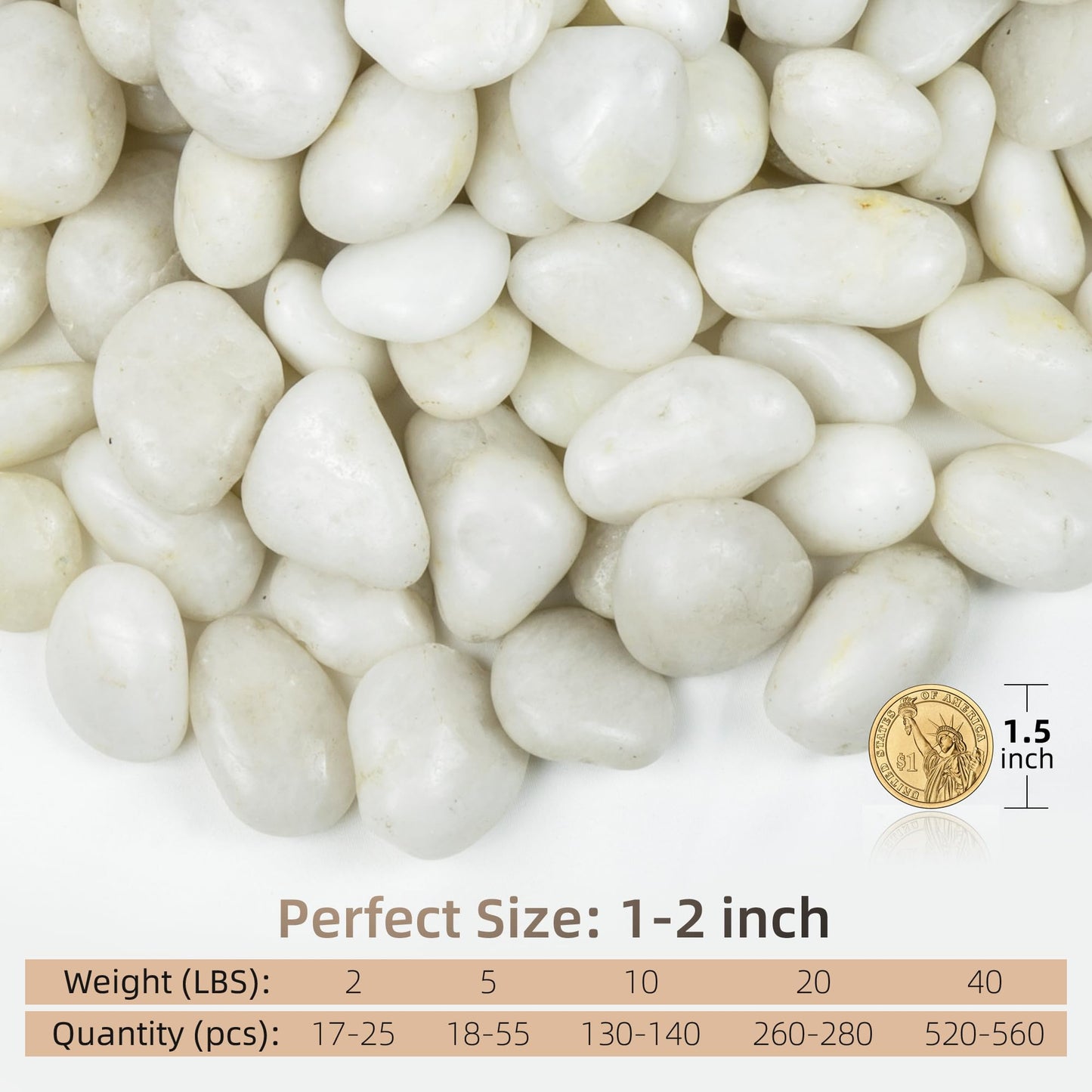 FINIKIS 2lbs White Pebbles for Indoor Plants, 1-2Inch Natural River Rocks for Aquarium, High Polished Decorative Stones for Vase Filler Fish Tank Landscaping Garden
