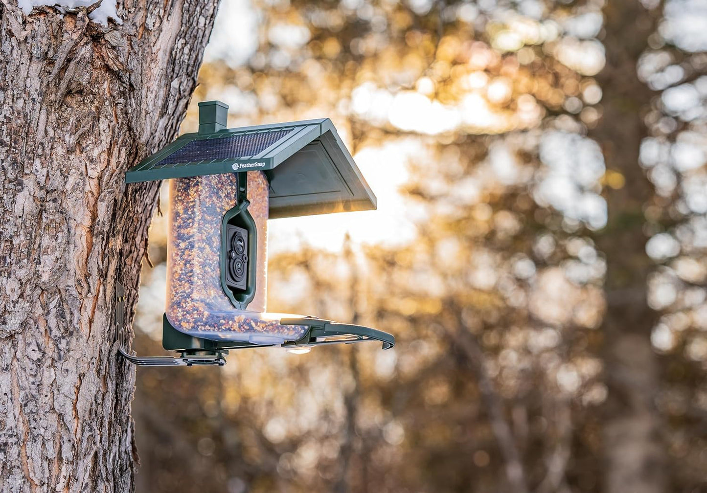Feathersnap Smart Birdfeeder with AI Identification and Wi-Fi Solar Powered, Captures HD Pictures and Videos Sent Directly to Your Phone (Bird Feeder & Starter Kit)
