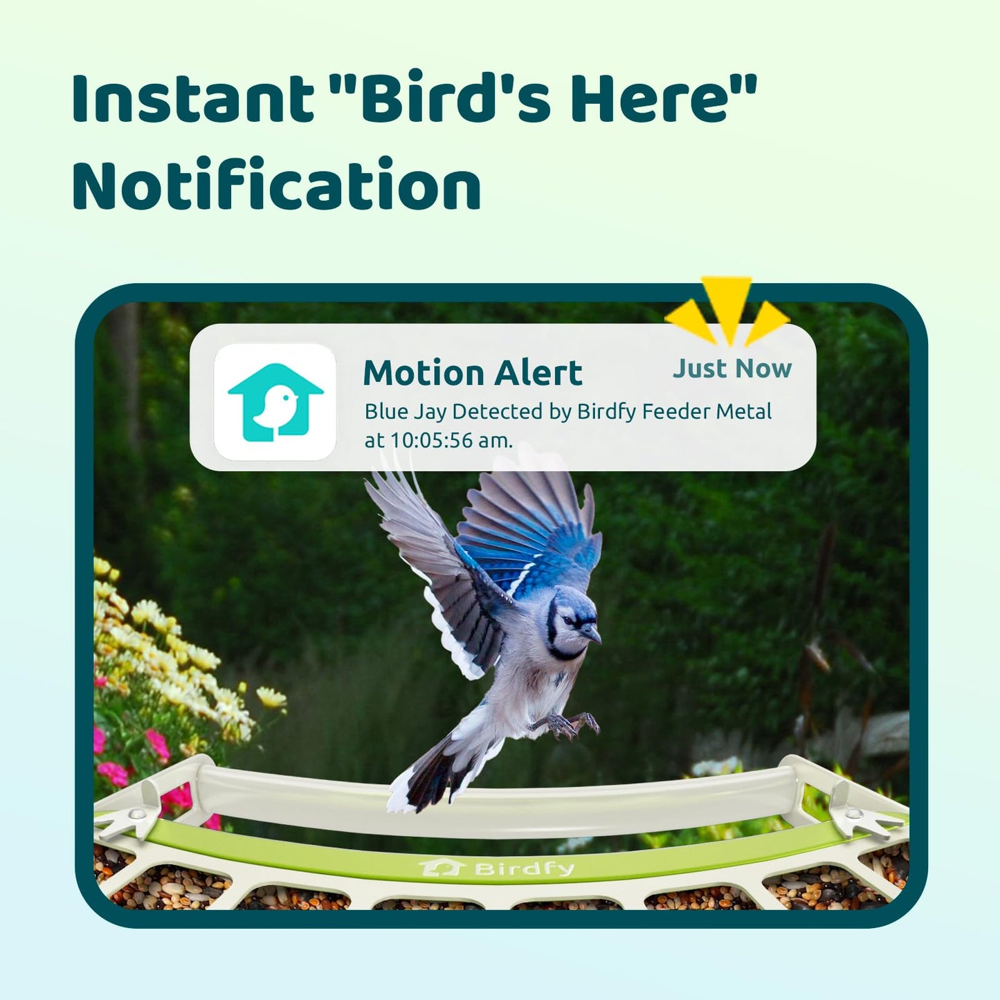 Birdfy Smart Bird Feeder with Camera, Durable Metal Feeders for Outdoors, Auto-Identify & Record Video, Instant Alert, Live Bird Watching Camera Solar, Gifts for Backyard Birder (AI Lifetime Free)