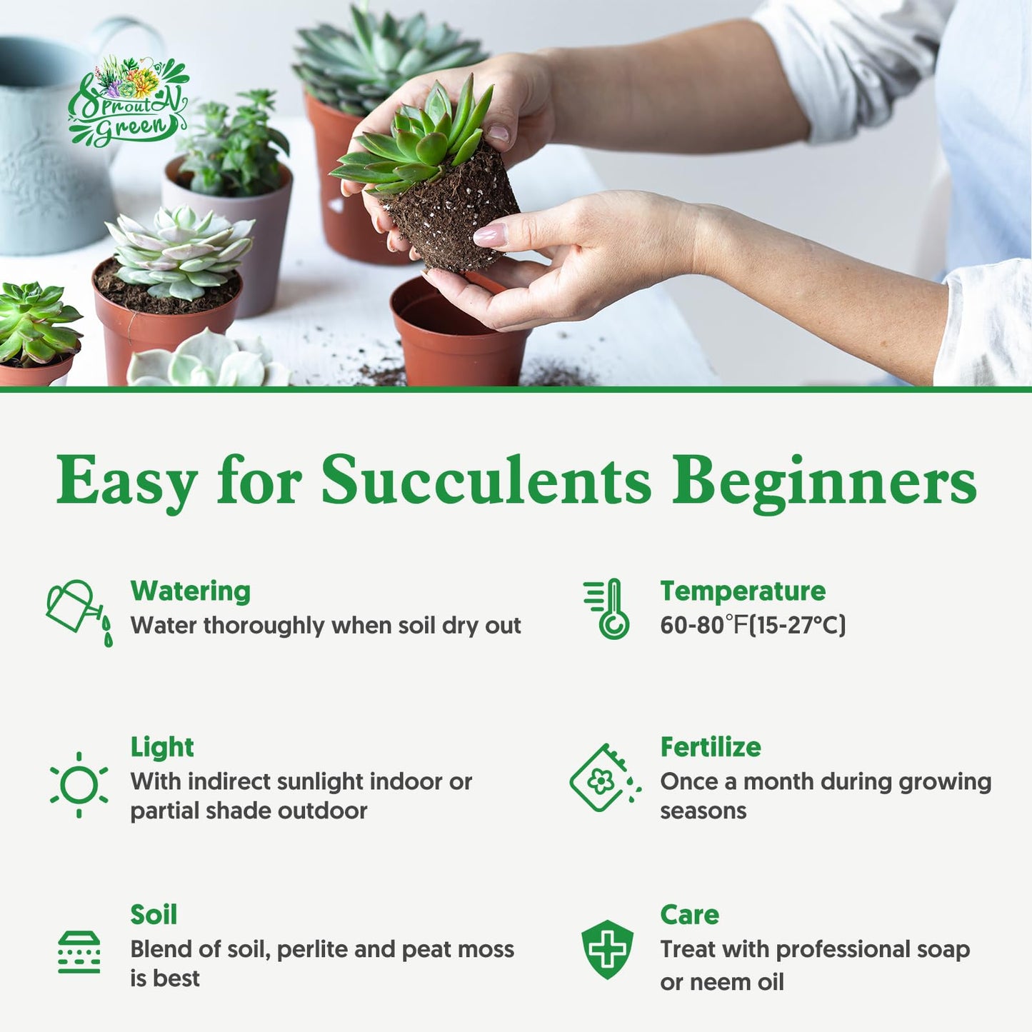 String of Watermelons, Live Trailing Succulent Fully Rooted in 4" Pots with Soil Mix, Rare House Plant for Home Office Wedding Hanging Decoration, DIY Projects, Party Favor