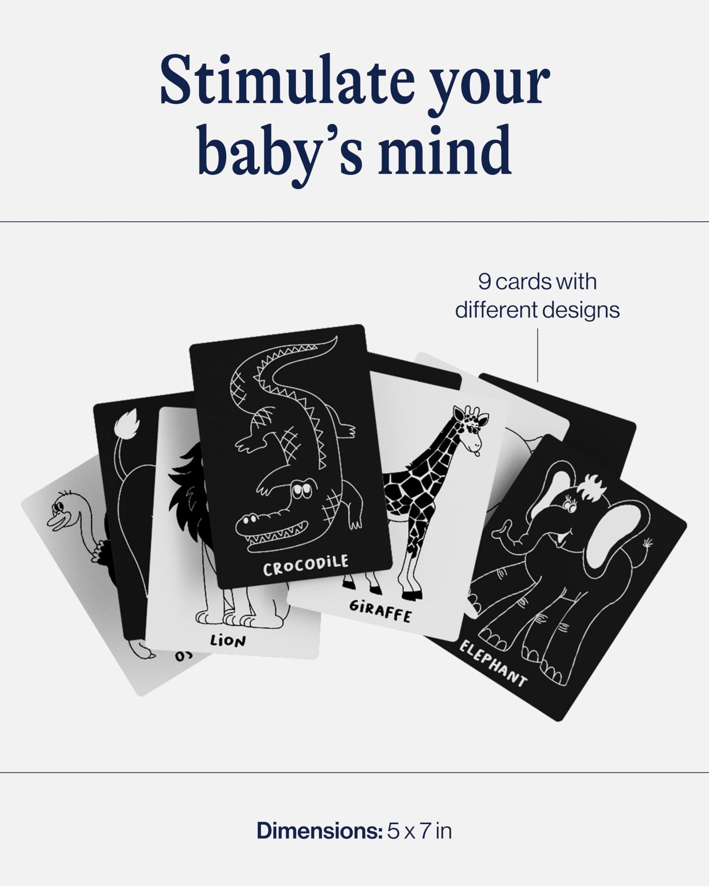 Lalo Art Cards - Set of 6 High Contrast Baby Cards for Infants - Printed with Soy-Based Ink, Lead & Phthalate-Free - Newborn Brain Development Toys - Safari Animals