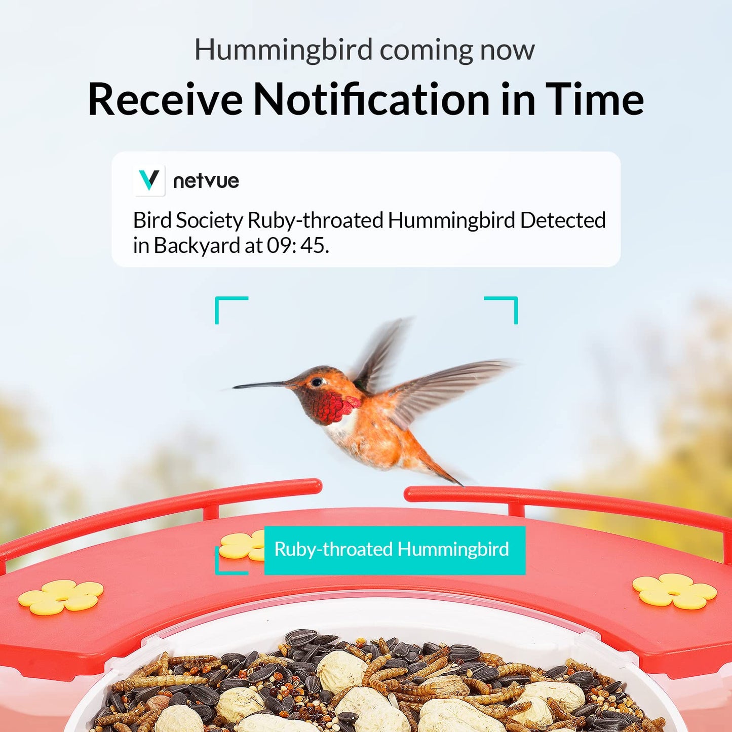 NETVUE Birdfy Camera with Birdfy Hummee Camera, Smart Bird Feeder with Camera, Auto Capture Bird Videos & Birdwatching Up-Close, 2in1 Feeders Attract More Hummingbirds, Ideal Gift