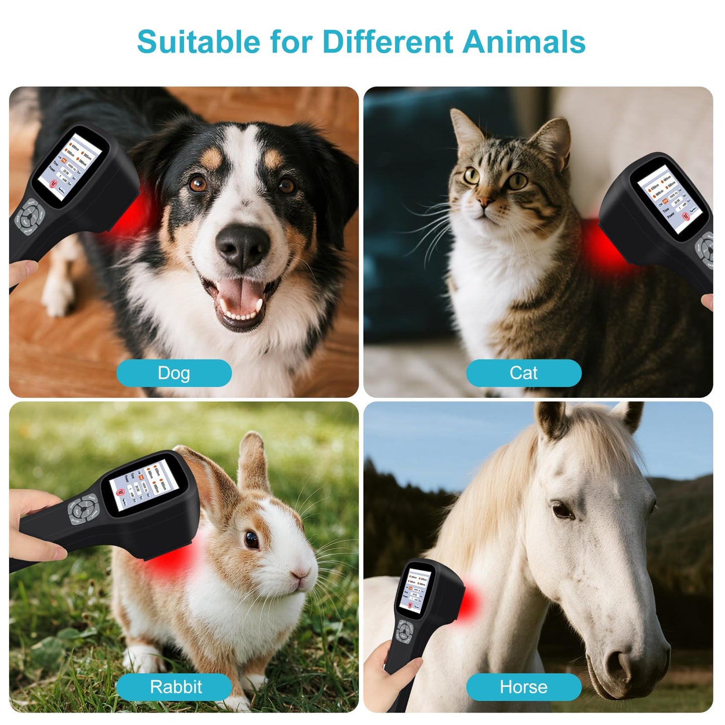Frovab Cold Laser Therapy Device for Dogs, 5x980nm 5x905nm 5x808nm 10x650nm, Portable Infrared Light Therapy for Cats Equine Joint, Handheld Red Light Therapy Device, Pet Laser Therapy for Pain Relief