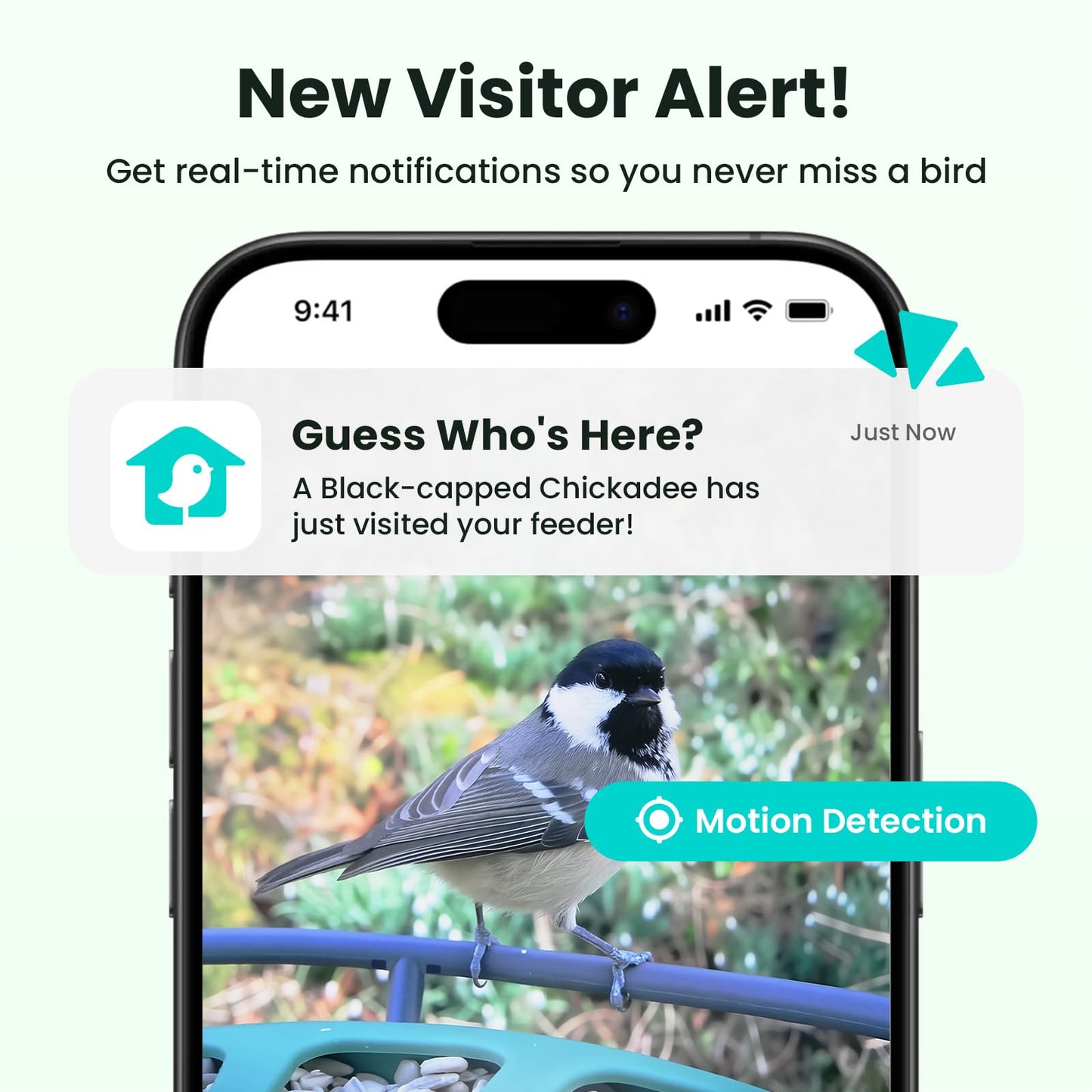 Birdfy 2 Smart Bird Feeder with Camera, Dual-Lens (2K+1080P) Camera for Live Streaming & Close-Up Photos, AI Identifies Bird Species, Solar-Powered Backyard Birdwatching Gift