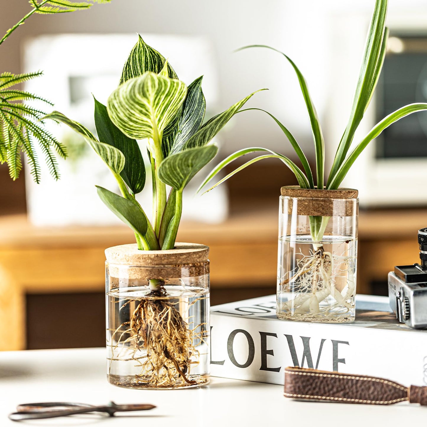 CHPINDAM Glass Propagation Stations for Plants -Desktop Flower Vases,Propagation Flower Vases Set – 2 Large & 2 Small for Plant Cuttings，for Living Room, Bedroom Decoration,Home,Office Decor (4)