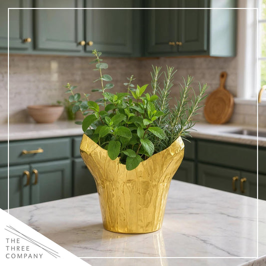 Live Aromatic and Healthy Herb Combo in Deco Cover - Breathe Better, Combo Includes Eucalpytus, Mint, and Rosemary, 12" Tall by 6" Wide in 1.25 Quart Pot