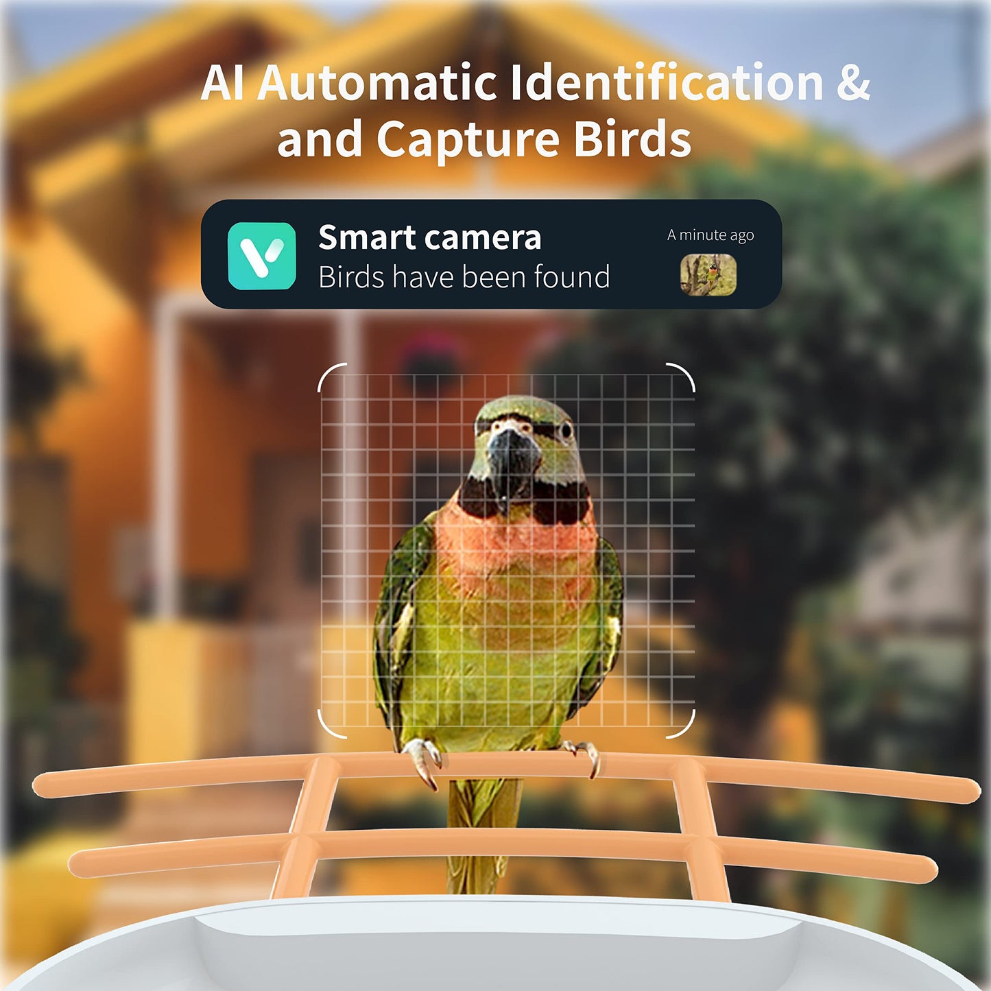 PAXI DAYA Solar Powered AI Window Bird Feeder with 2MP Camera Weatherproof Smart Outdoor Decor Metal Feeder for Birds Pack of 1 Orange