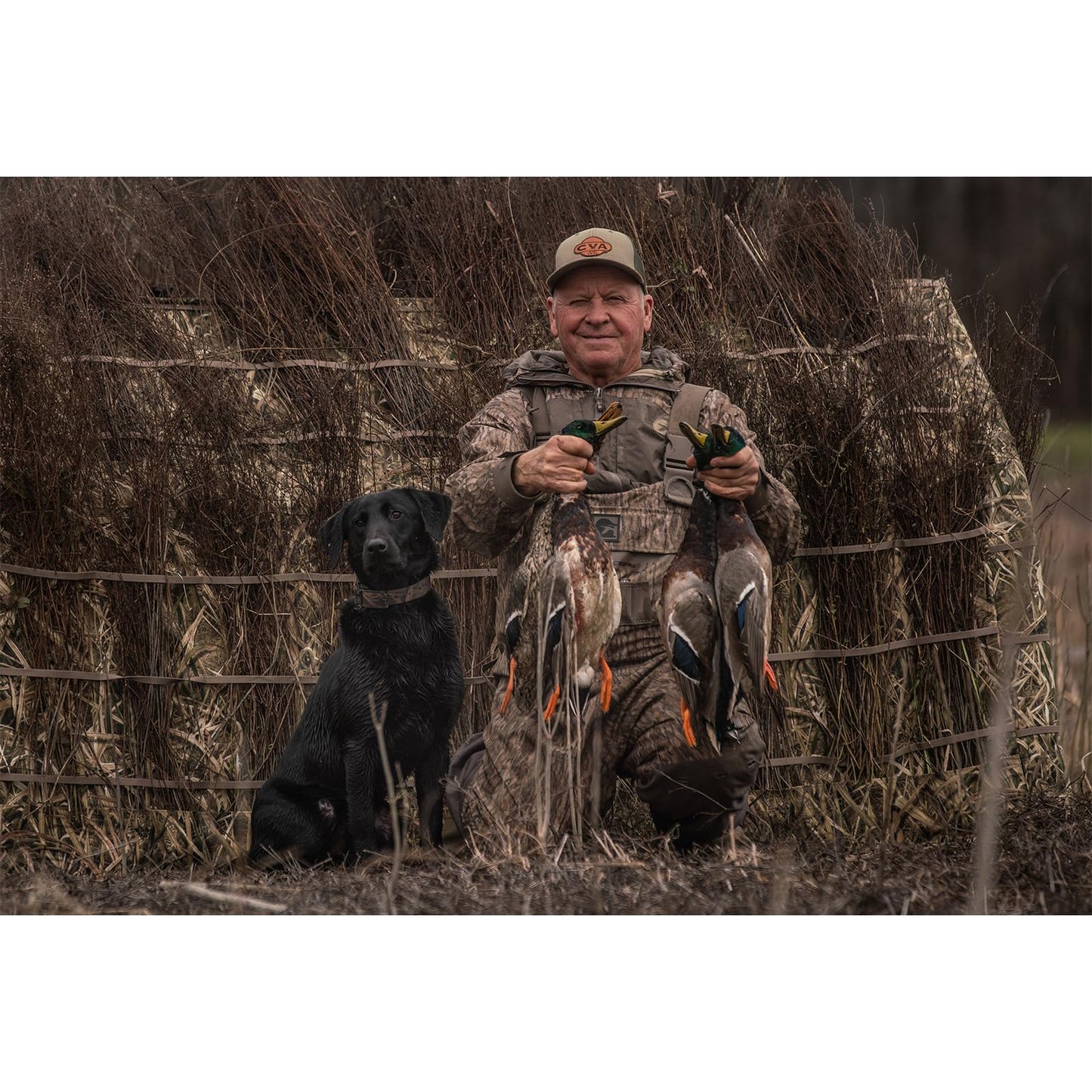 Avian X A-Frame Portable Field Blind Mossy Oak Shadow Grass Blades Camo