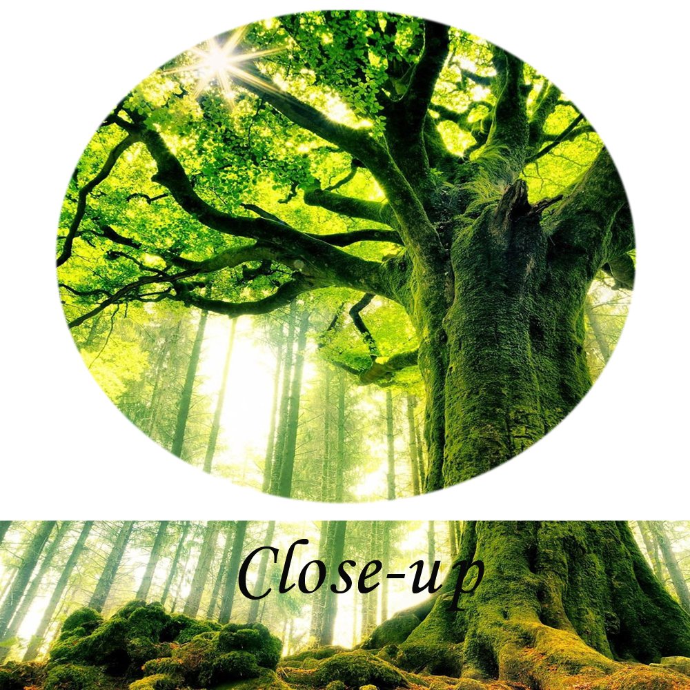KREATIVE ARTS Canvas Large Art Print Spring Forest Nature Green Big Tree Wall Art Photo Printed on Canvas Framed Artwork for Office Wall Decoration Ready to Hang 20x40inch