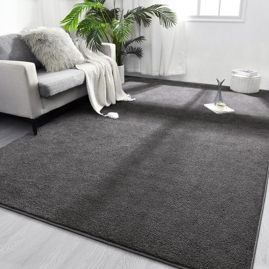 FlyDOIT Area Rugs for Bedroom Living Room, 5x8 Dark Grey Super Soft Comfy Thickened Memory-Foam Indoor Carpets, Modern Aesthetic Minimalist Carpet for Boys Girls Adults Apartment Nursery Home Décor