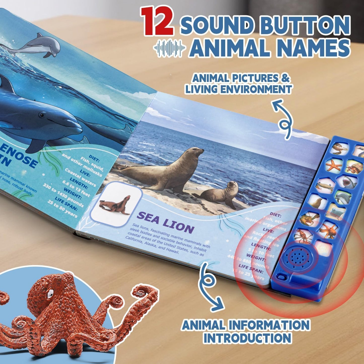 12Pack Ocean Animal Toy for Kid with Sound Book(On/Off), Gift Box, Realistic Sea Creature Figure, Educational Plastic Under the Sea life for Toddler, Birthday Party Favor, Water Table Toy for Boy Girl