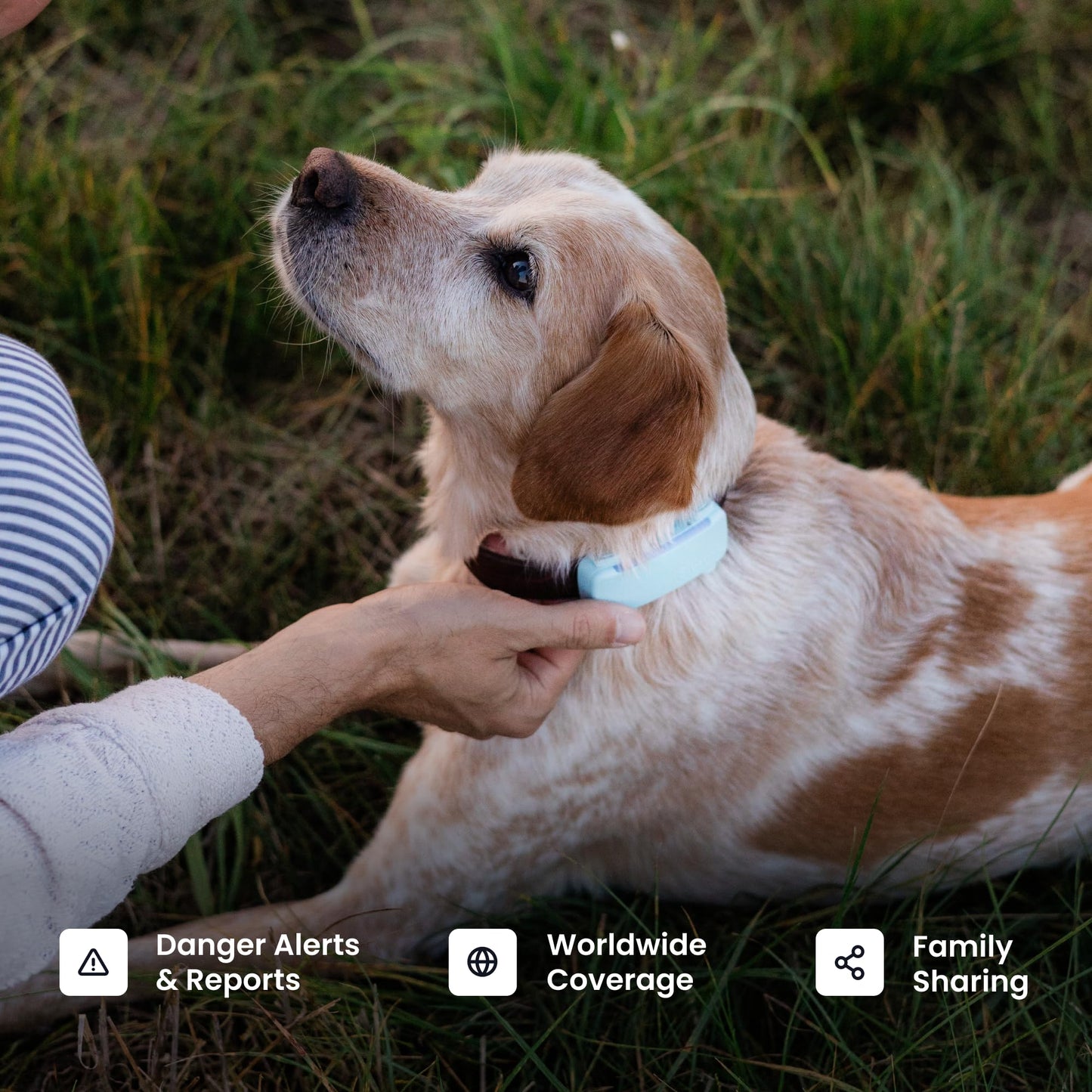 Tractive Smart Dog GPS Tracker | Live Pet Tracker with Virtual Fence | Vital Signs Monitoring of Heart & Respiratory Rate | Bark Monitoring | Dog Collar Attachment (Bundle of 2, Black & Brown)
