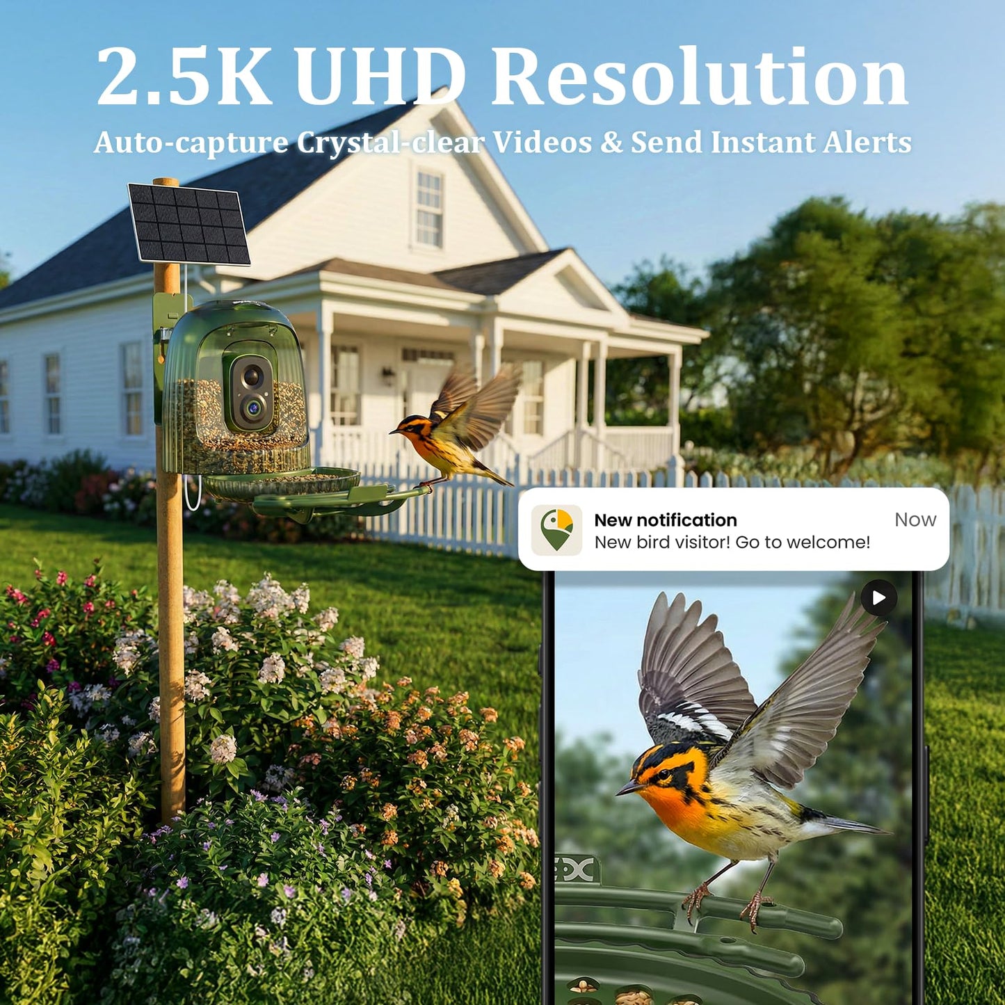 HIXX Smart Bird Feeder with 4MP Camera – Auto Capture Video, AI Bird Identification, Large Capacity & Seed Guard, Solar Powered Night Light, Live Birdwatching Camera for Lovers, Family & Friends