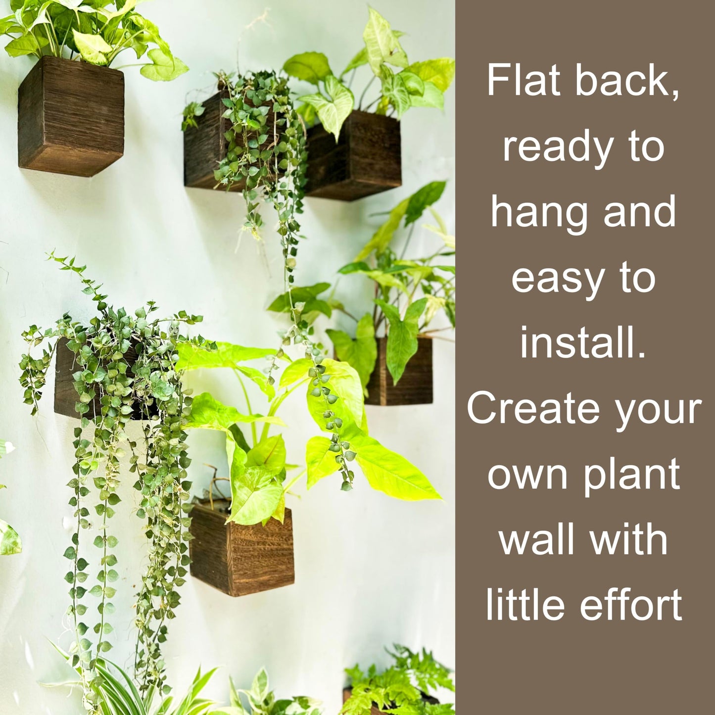 LaLaGreen Indoor Planter Box for Plants (4x4 Inch, 12 Pack) Small Square Wooden Wall Mounted Planters Wood Window Boxes Hanging Flower Pot Plant Holder Outdoor Herb Modern Vertical Garden Home Decor