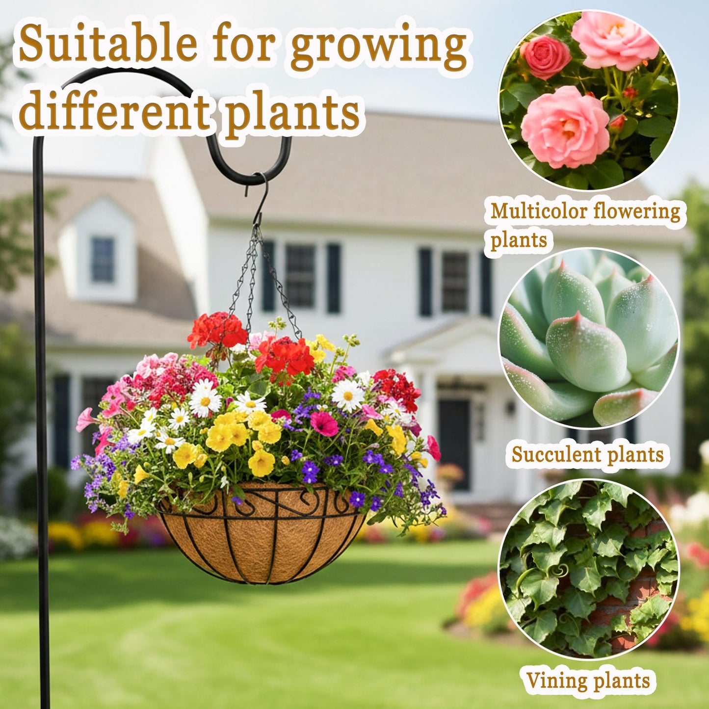 SMYAXUNW 4 Pack Hanging Planters 12 Inch Metal Hanging Planter Basket Flower Pots with Coco Coir Liners Round Wire Plant Holder with Chain for Indoor Outdoor Patio Porch Garden Decoration（HB）