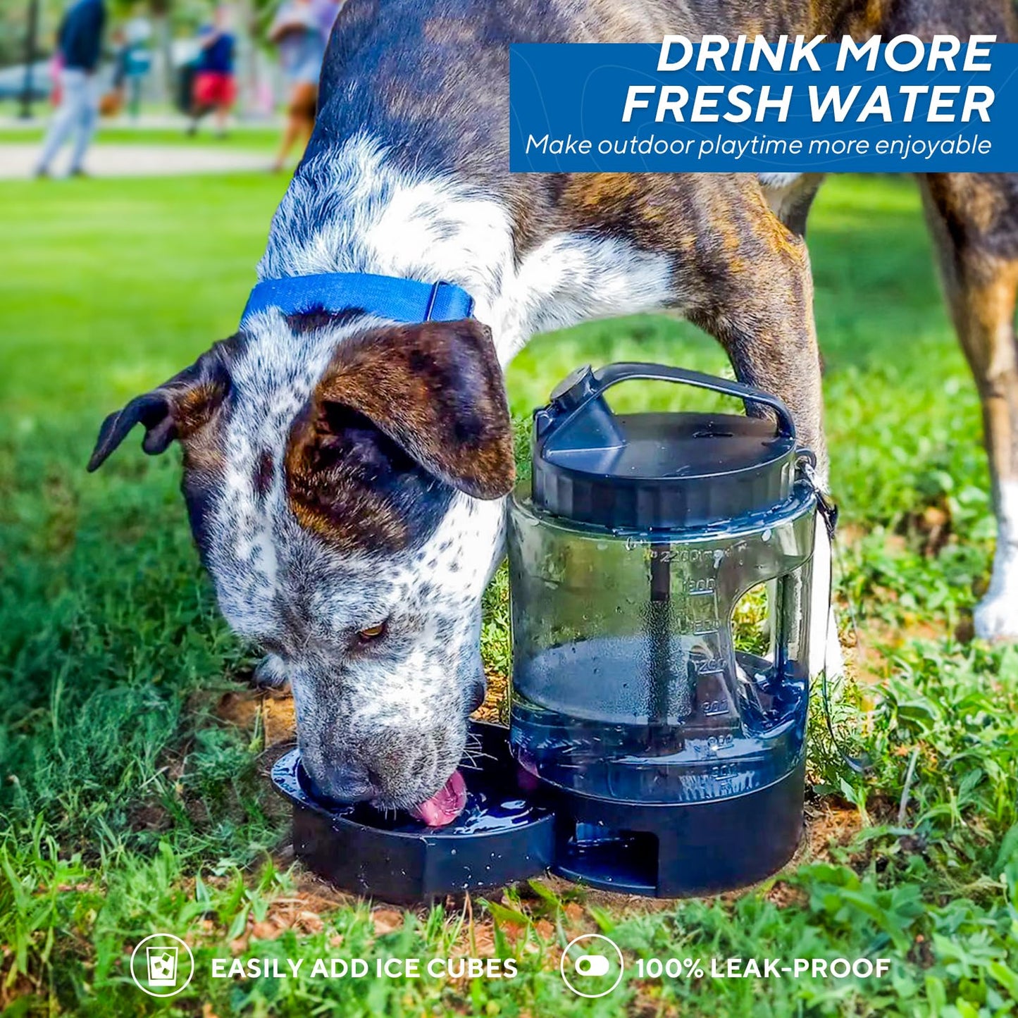 77OZ Large Dog Water Bowl Dispenser with Pull-Out Travel Water Bowls for Dogs + Dog Dryer for Pet Grooming, 3.2HP Adjustable Speed Temp Pet Hair Dryer