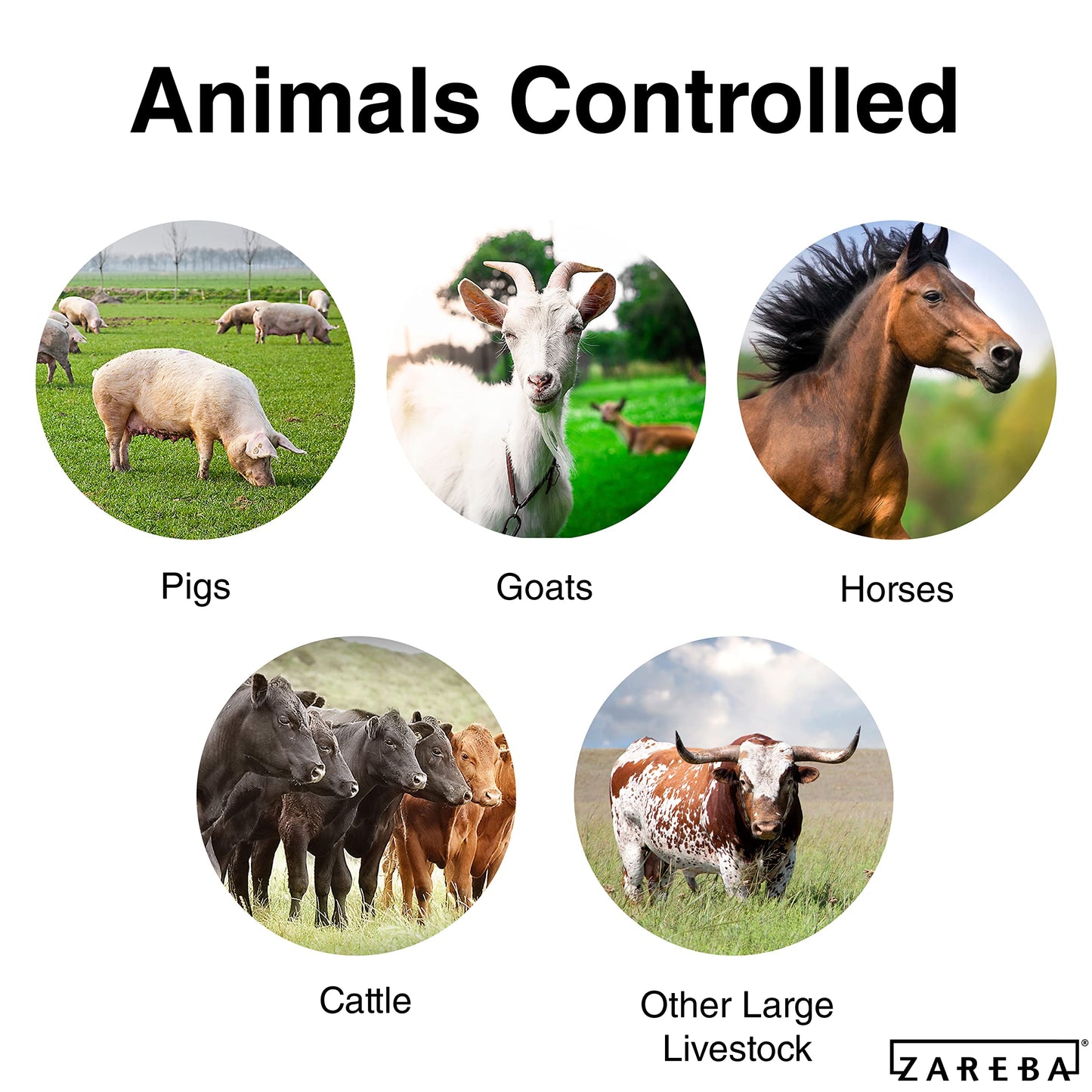 Zareba 50 Mile AC-Powered Low Impendence Electric Fence Charger - Contain Pigs, Goats, Horses, Cattle, and More - Keep Out Predators - For Heavy Weed Conditions - EAC50M-Z