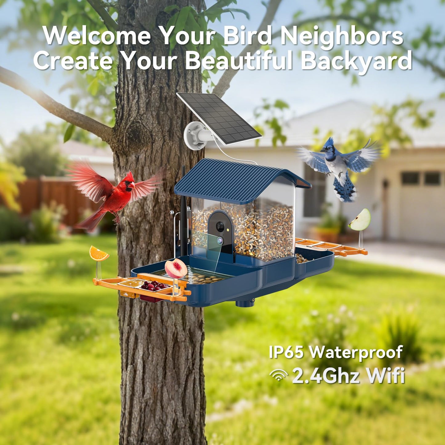KUIKEO Dual-Lens Bird Feeder with Camera & Bird Bath Combo, Watch Birds Eat & Bathe with WiFi 2K HD Video, Auto Record, AI Recognition, APP Alerts, Solar Powered, for Backyard Garden Porch Fence Decor