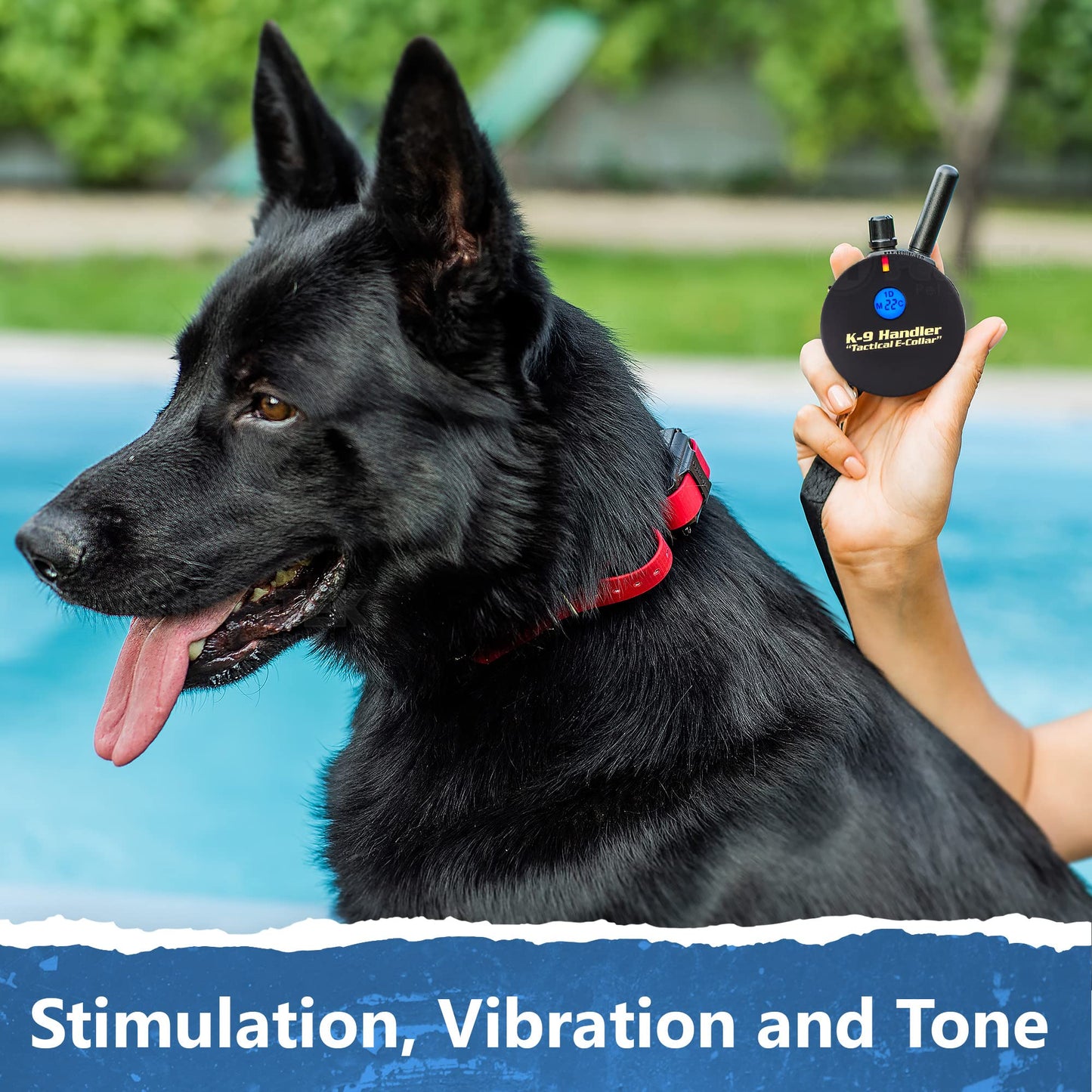 Educator K9-400 Tactical E Collar for Dog Training with Remote - 3/4 Mile Range, Waterproof, 100 Stimulation Levels, Tone or Vibration Mode, Night Light for Small, Medium & Large Dogs (33 inc)