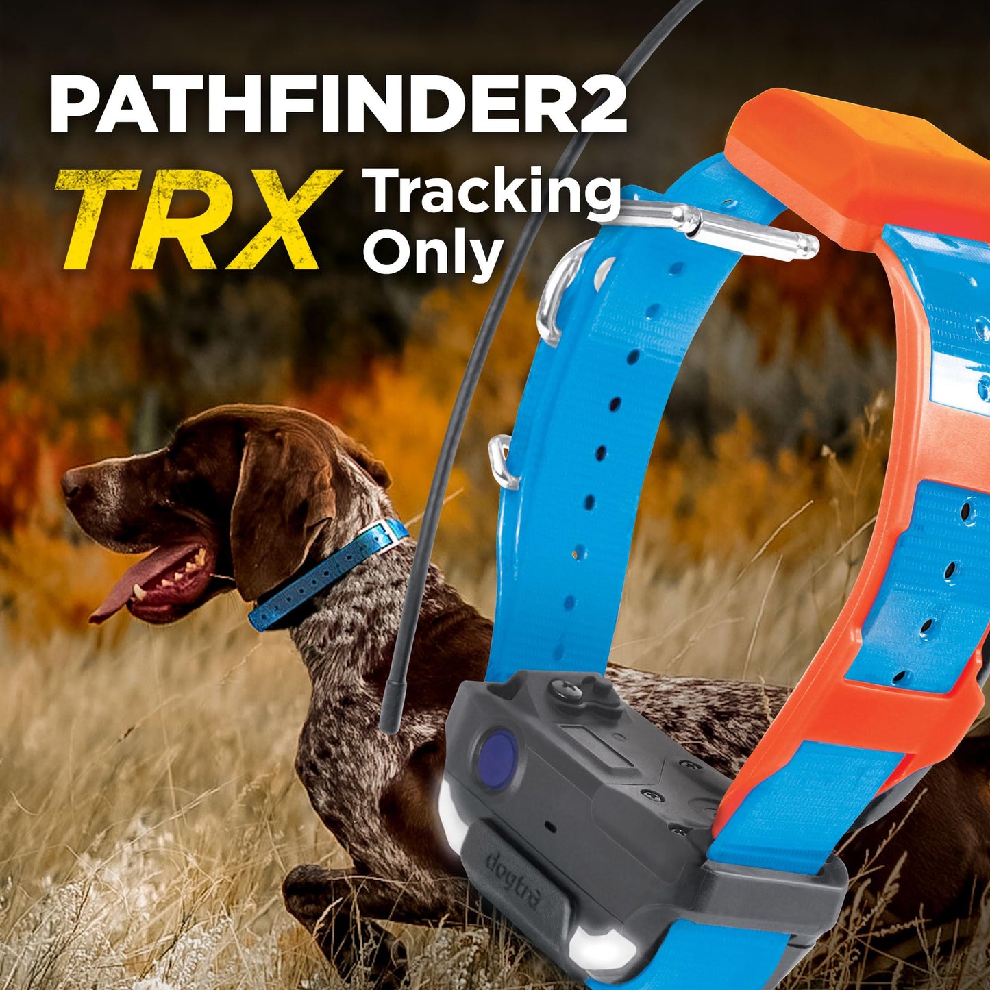 Dogtra Pathfinder 2 TRX Additional Receiver Only Dog GPS Tracker LED Light Blue Collar SmartWatch Compatible Rechargeable Waterproof Free Offline Maps No Monthly Subscription Fee Smartphone Required
