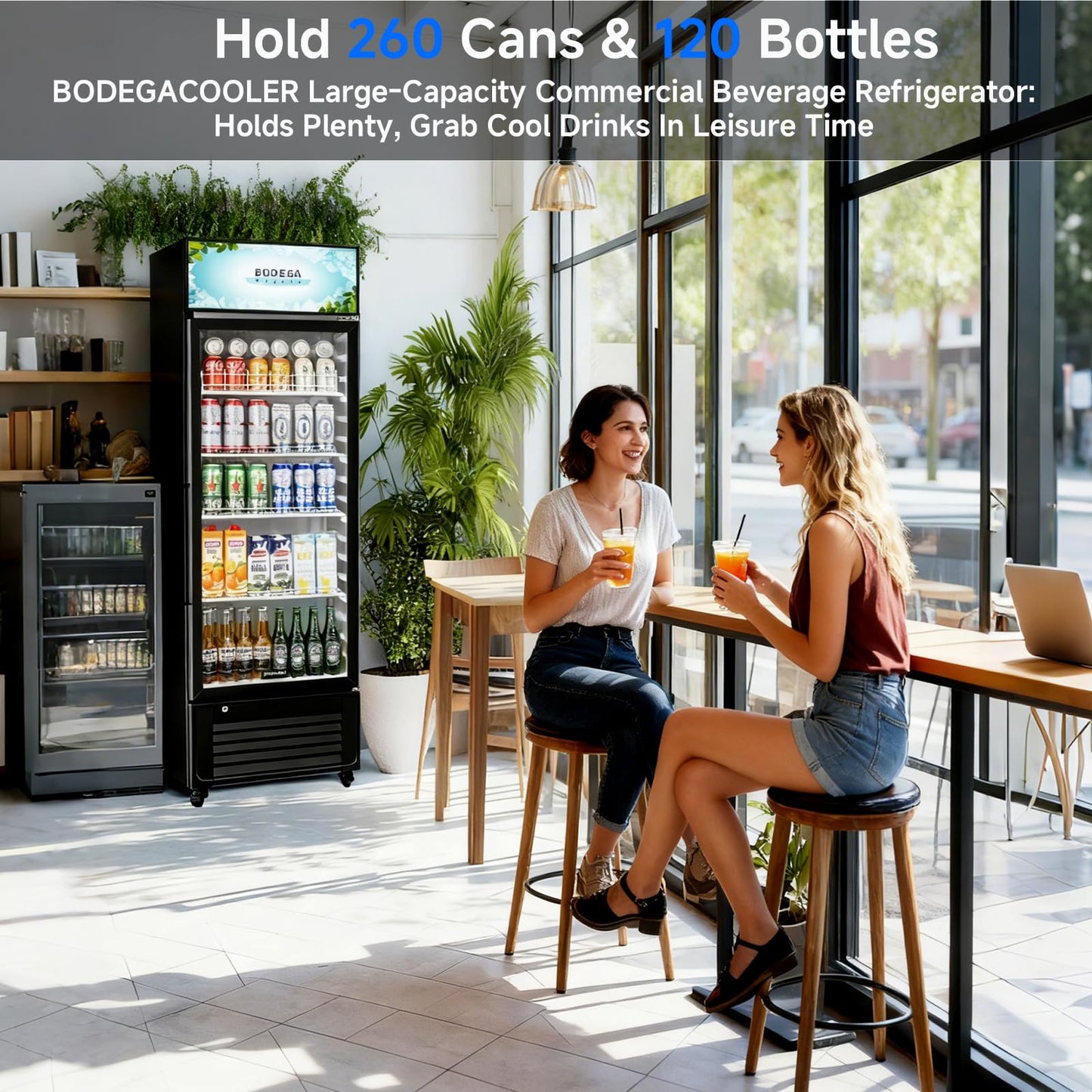 BODEGACOOLER Beverage Refrigerator and Cooler, 10.0 Cu.Ft. Commercial Refrigerator For Home & Kitchen, Office and Garage, Display Refrigerator with Adjustable Shelves and LED Light For Beer, Soda.