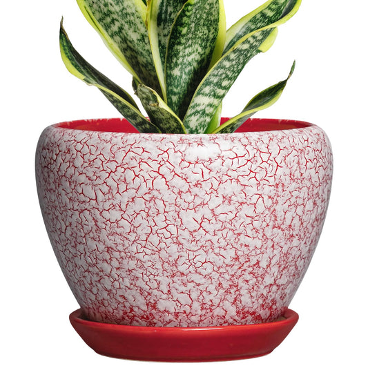 Thirtypot Ceramic Plant Pots - 6 Inch Pots for Plants Indoor Outdoor, Modern Planter with Drainage Hole and Tray, Round Decorative Flower Pot, Home Office Decor, House Warming Gifts, Crackle Red